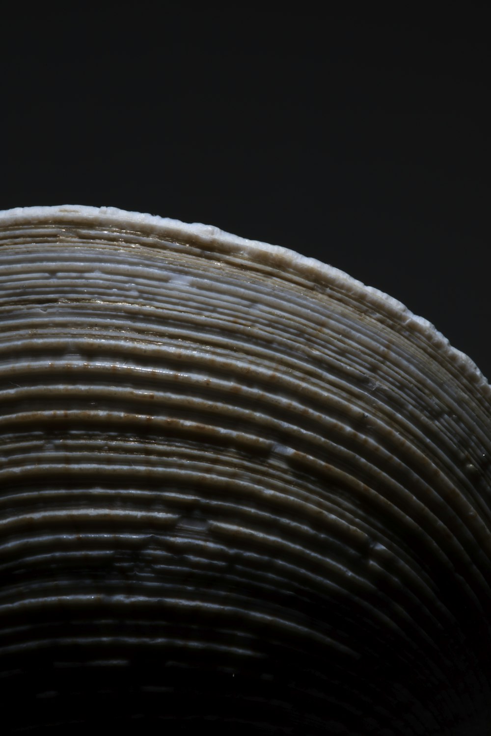 a close up of a bowl on a black background