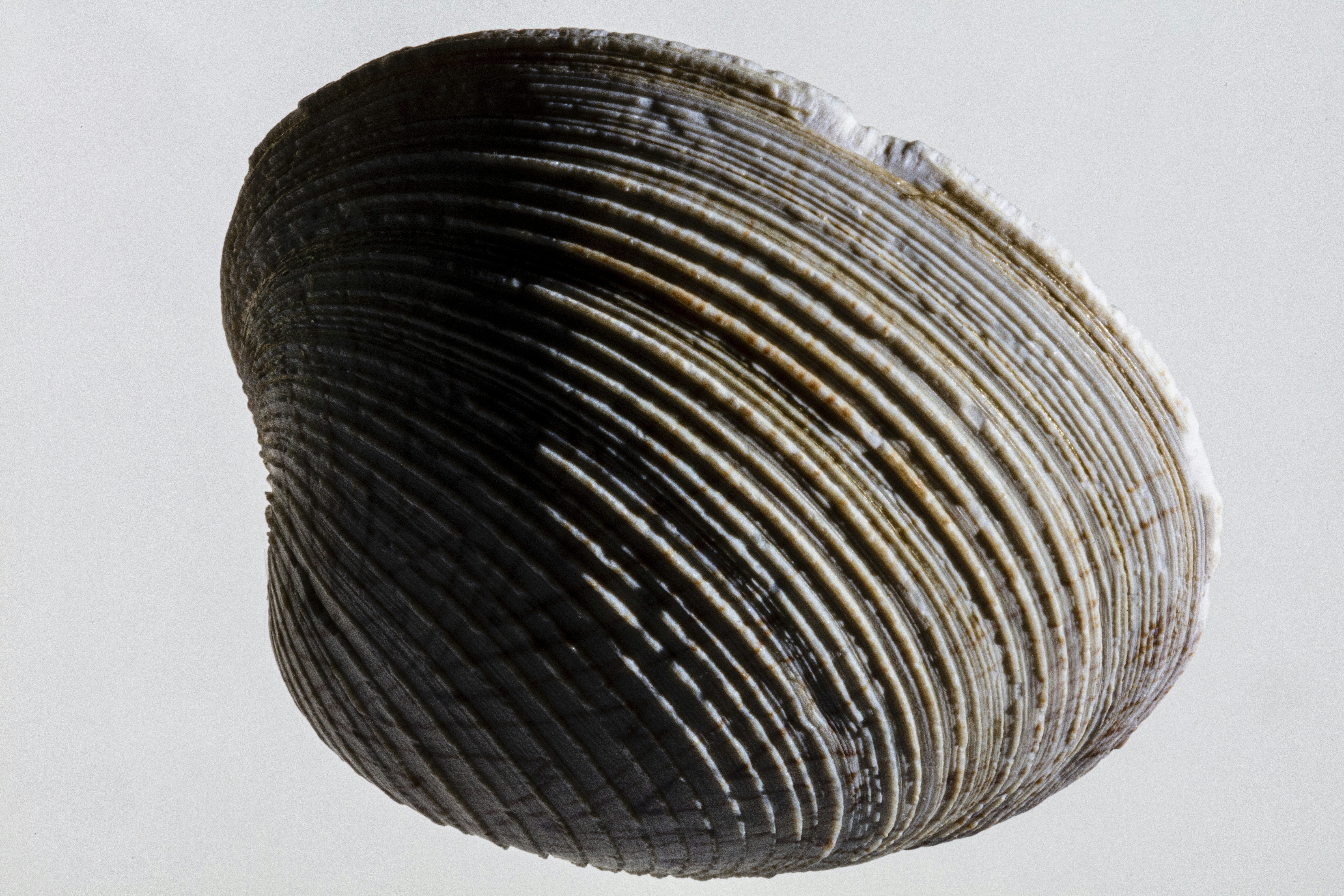 Photo by epricephoto