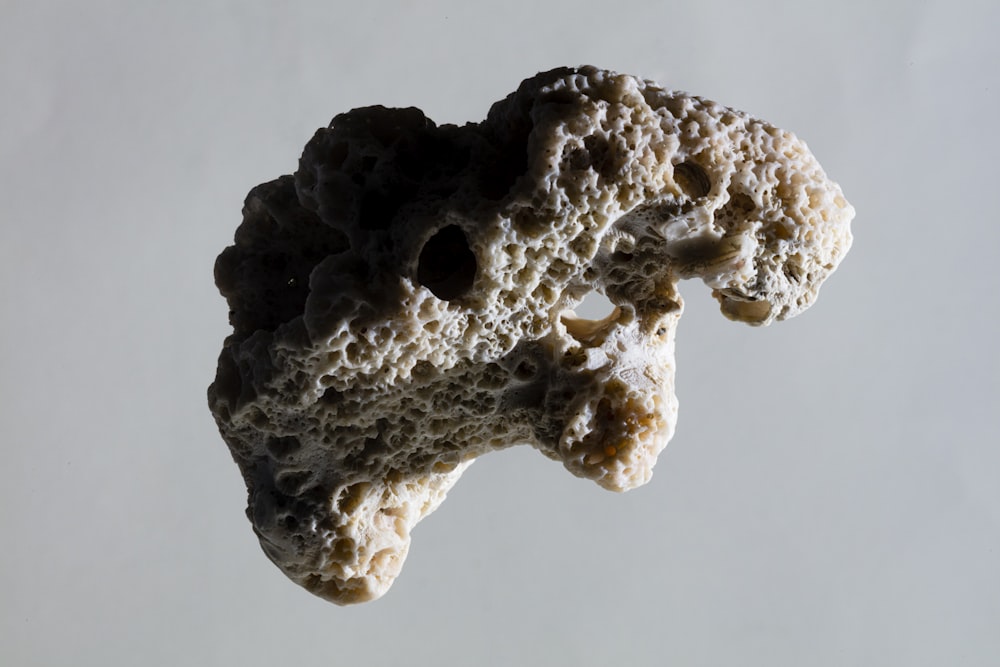 a close up of a rock on a white background