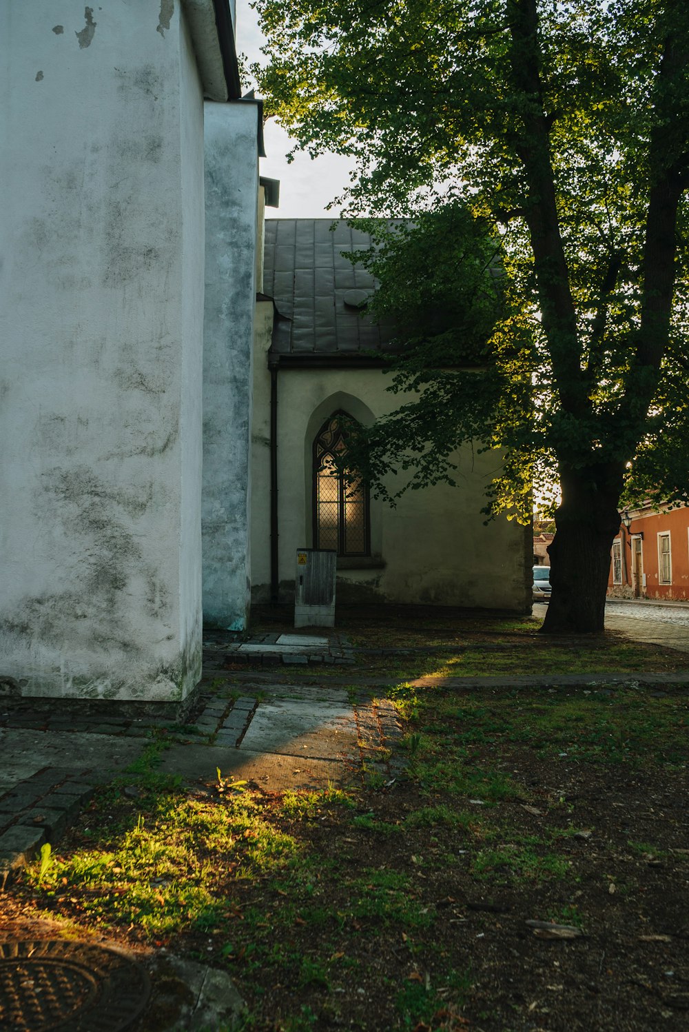 a white building with a tree in front of it