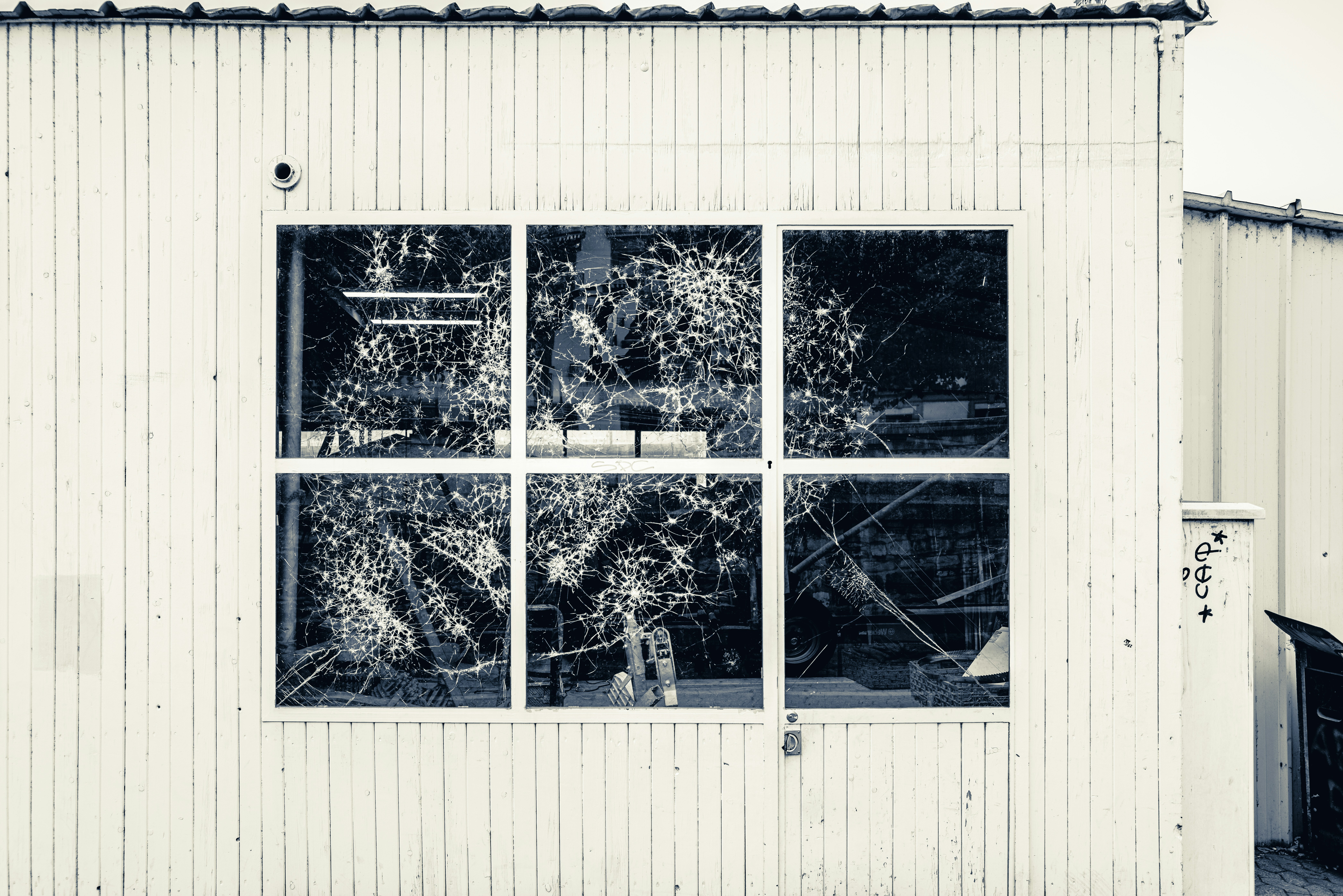 Photo by mickdepaola