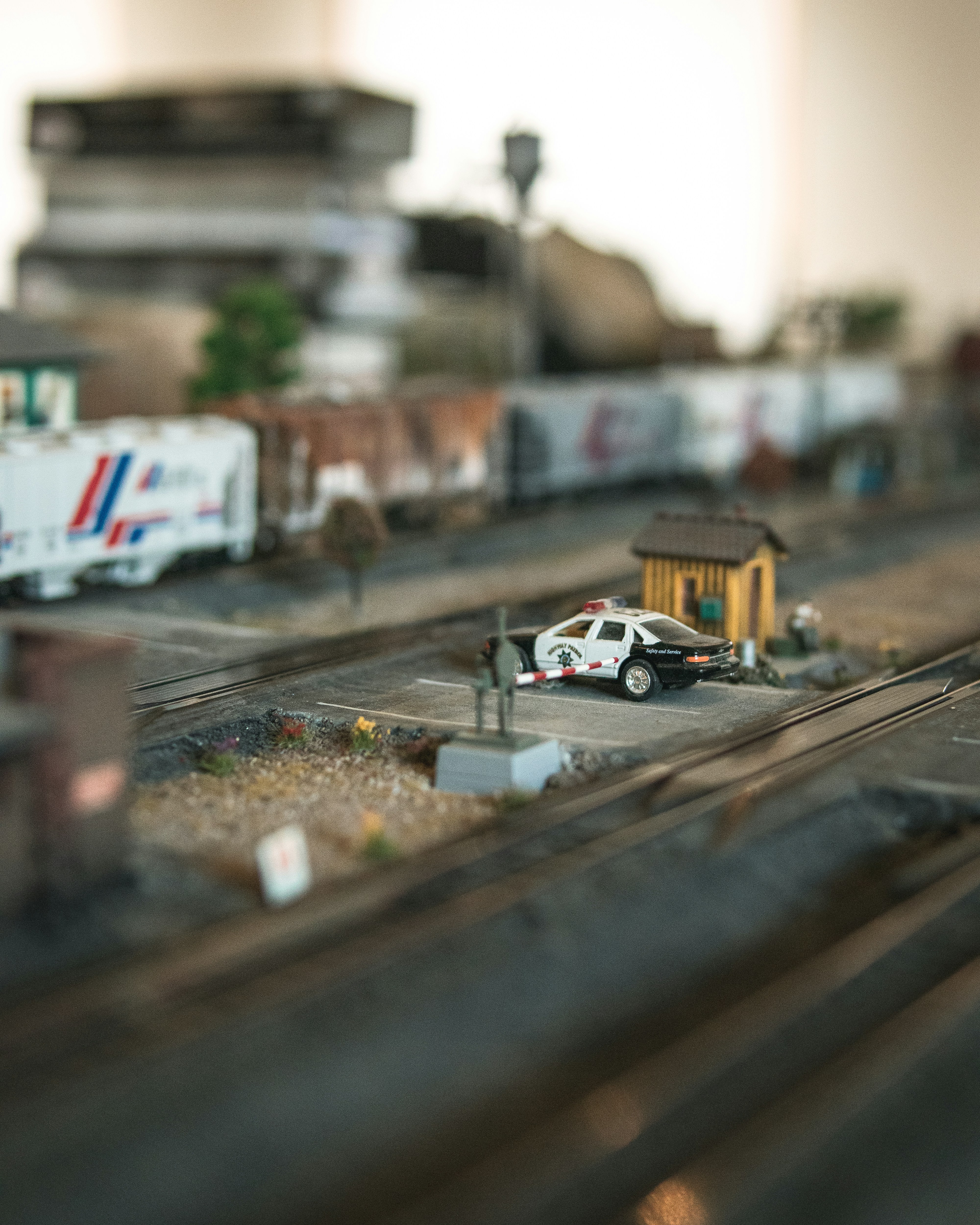 Photo by alex_quezada