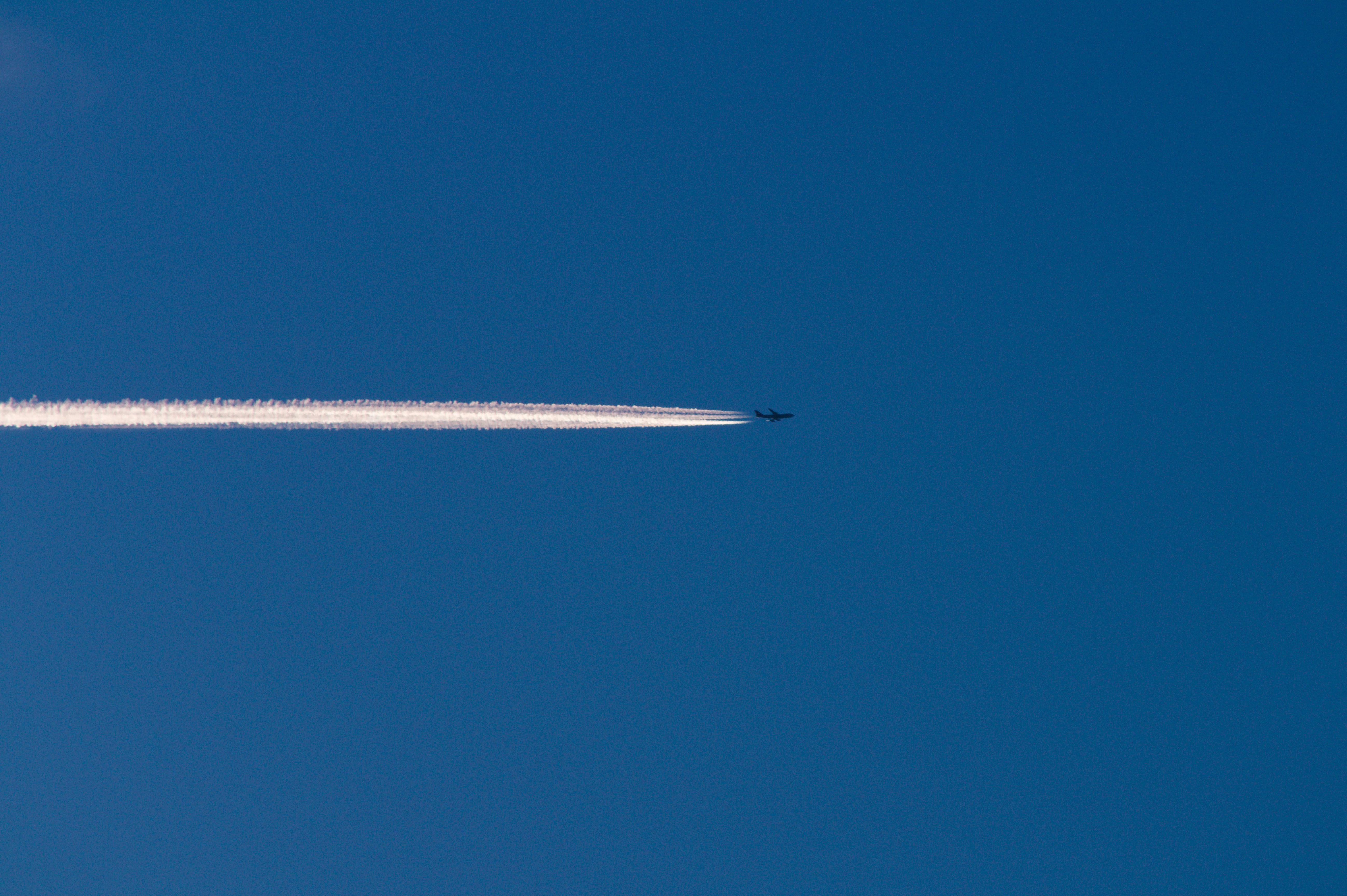 Photo by gladystonefonseca