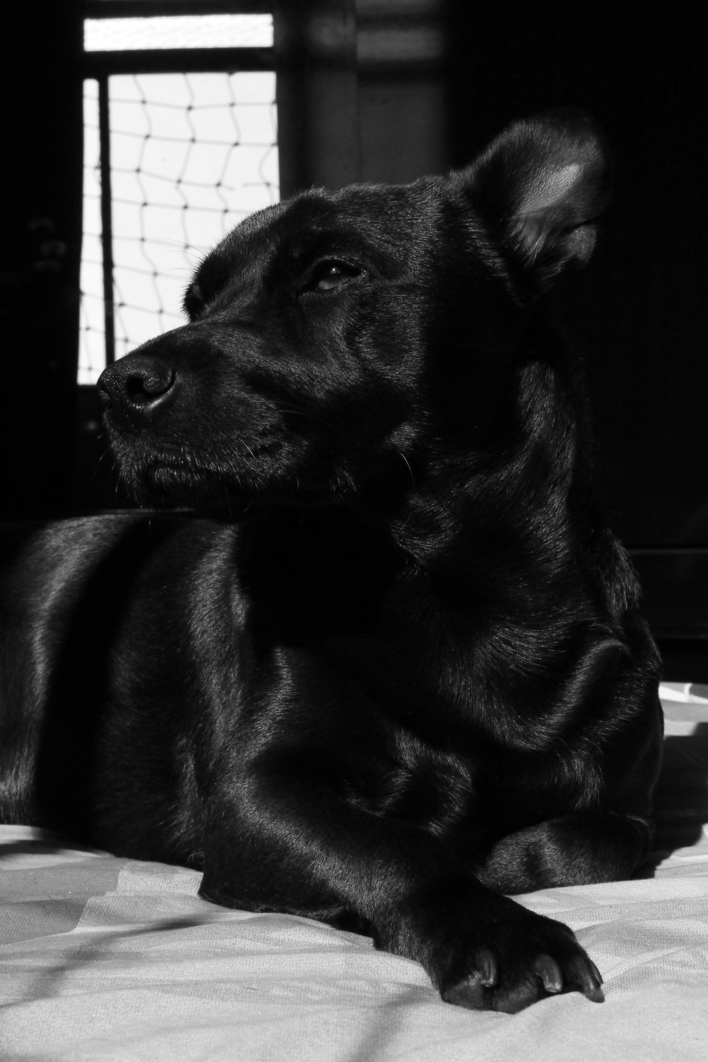 Photo by gladystonefonseca