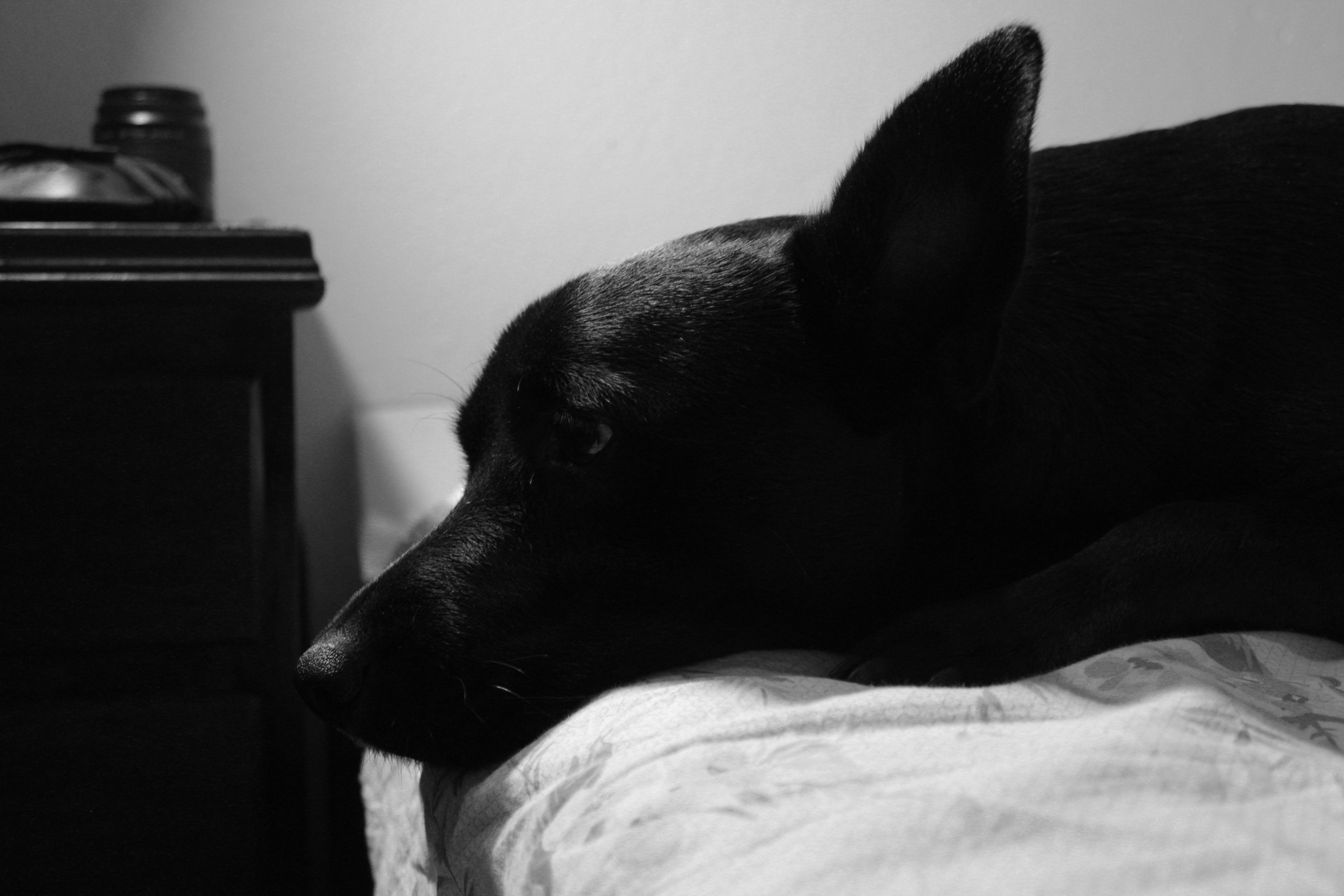 Photo by gladystonefonseca