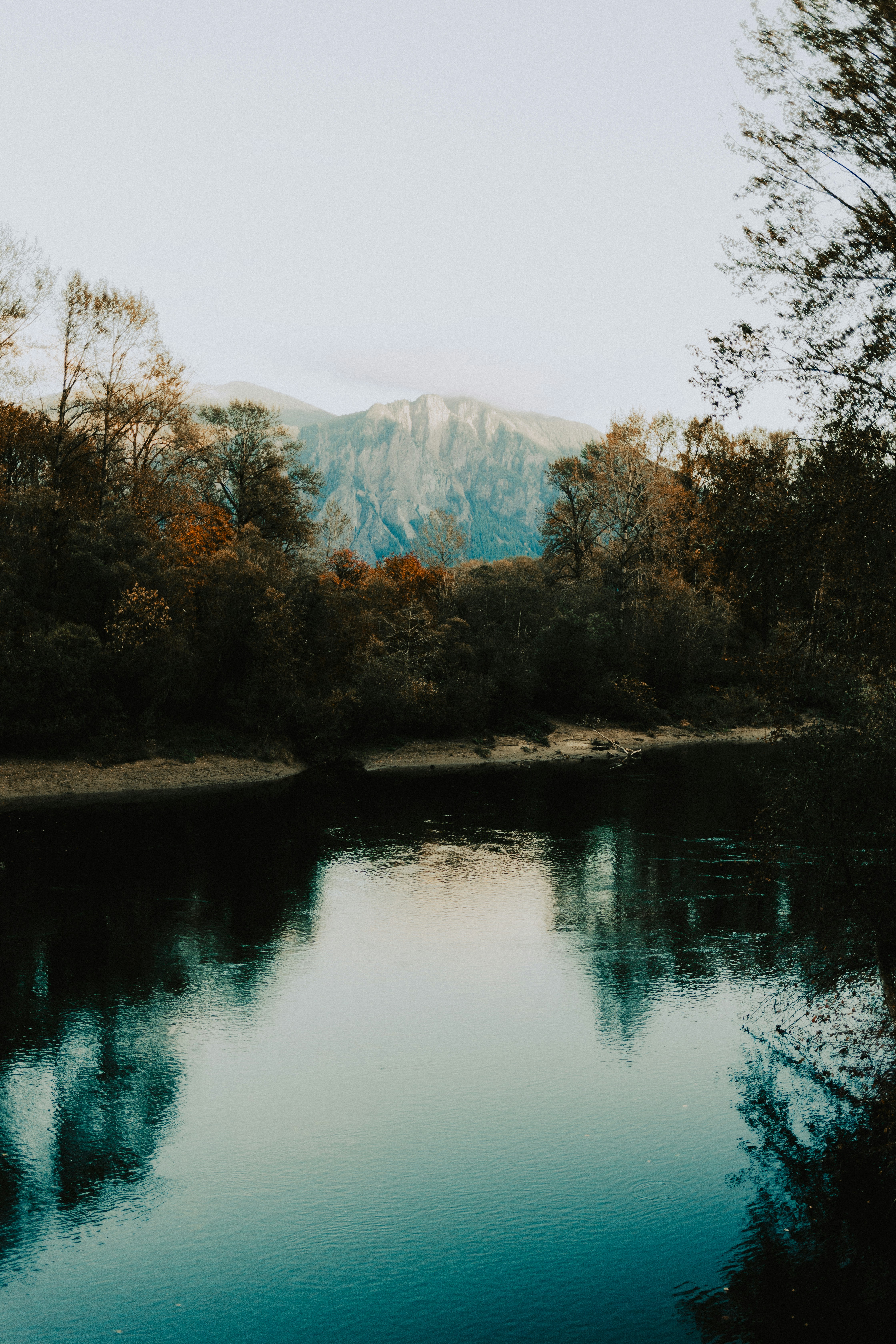 a body of water surrounded by trees and mountains
