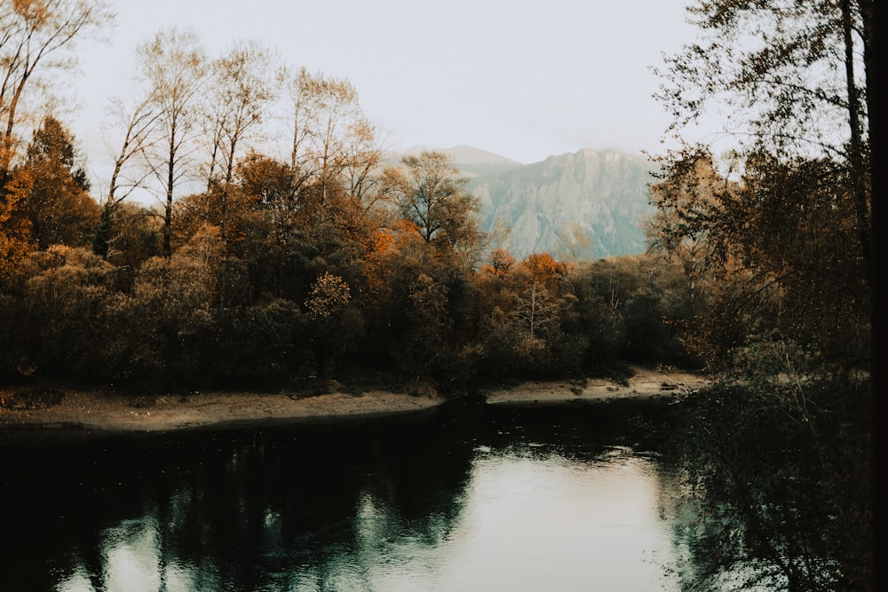 a body of water surrounded by trees and mountains