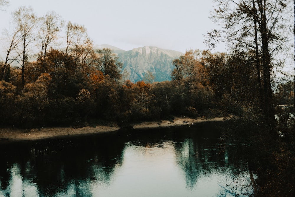 a body of water surrounded by trees and mountains