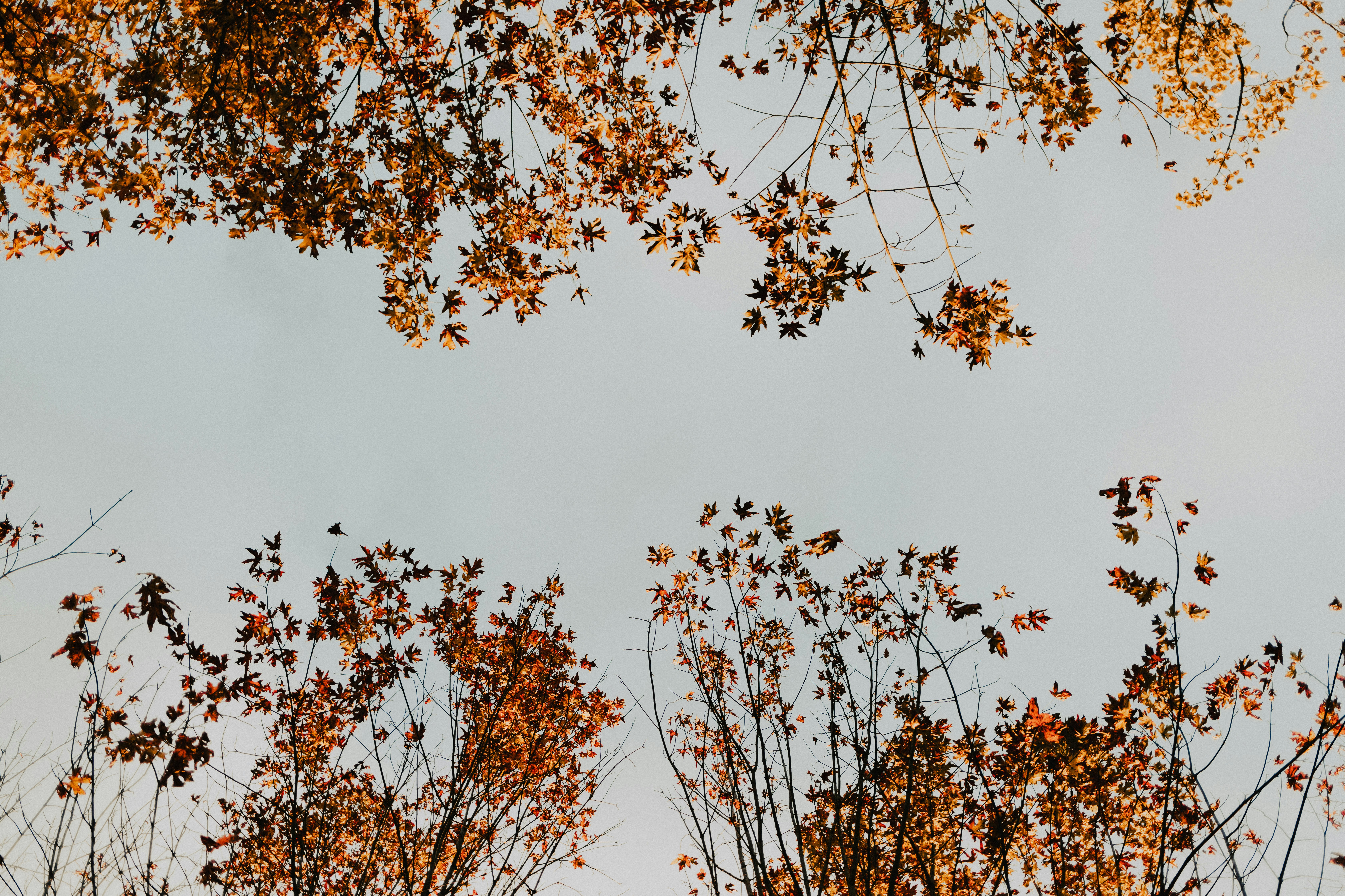 Photo by duncan_shaffer