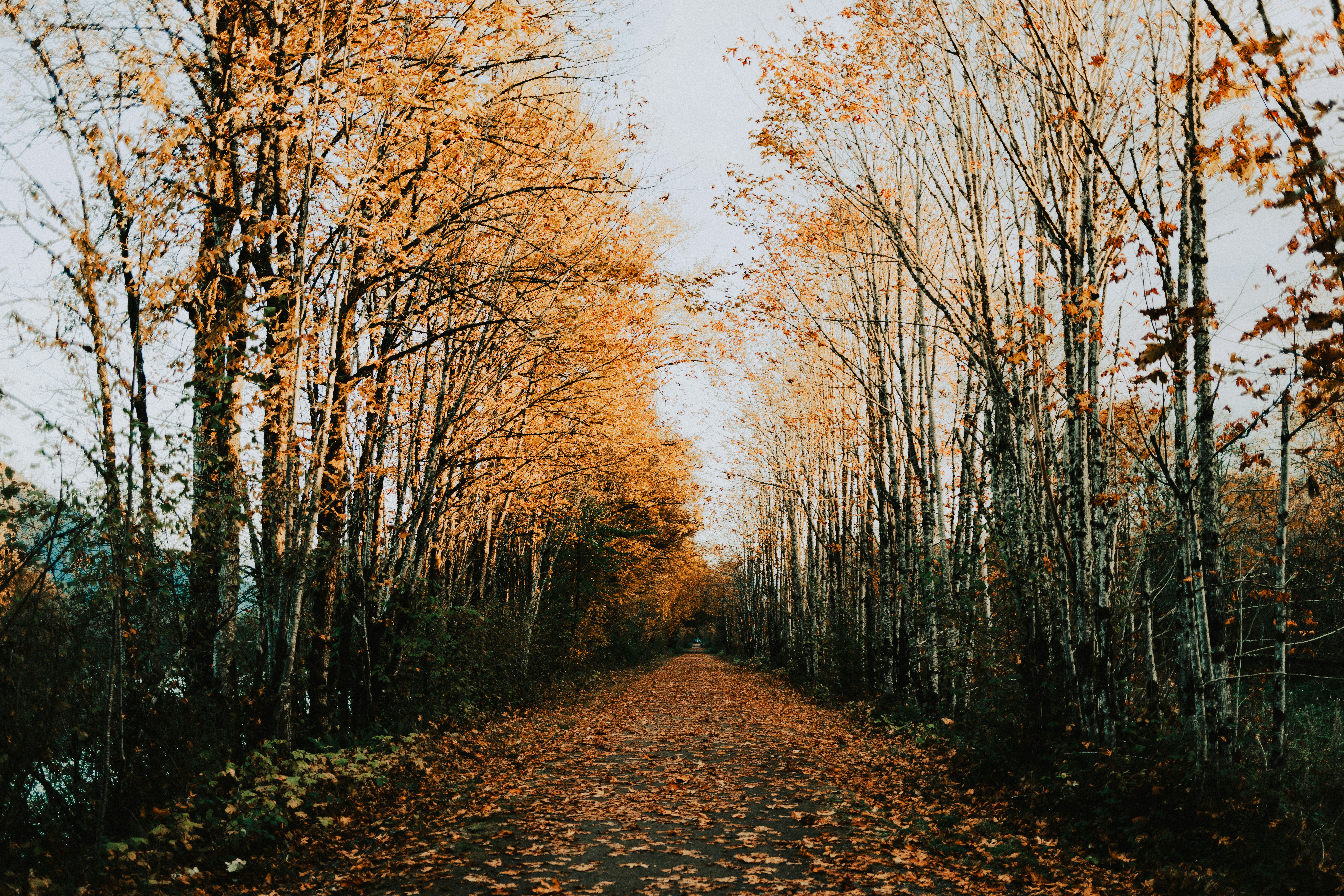 Photo by duncan_shaffer