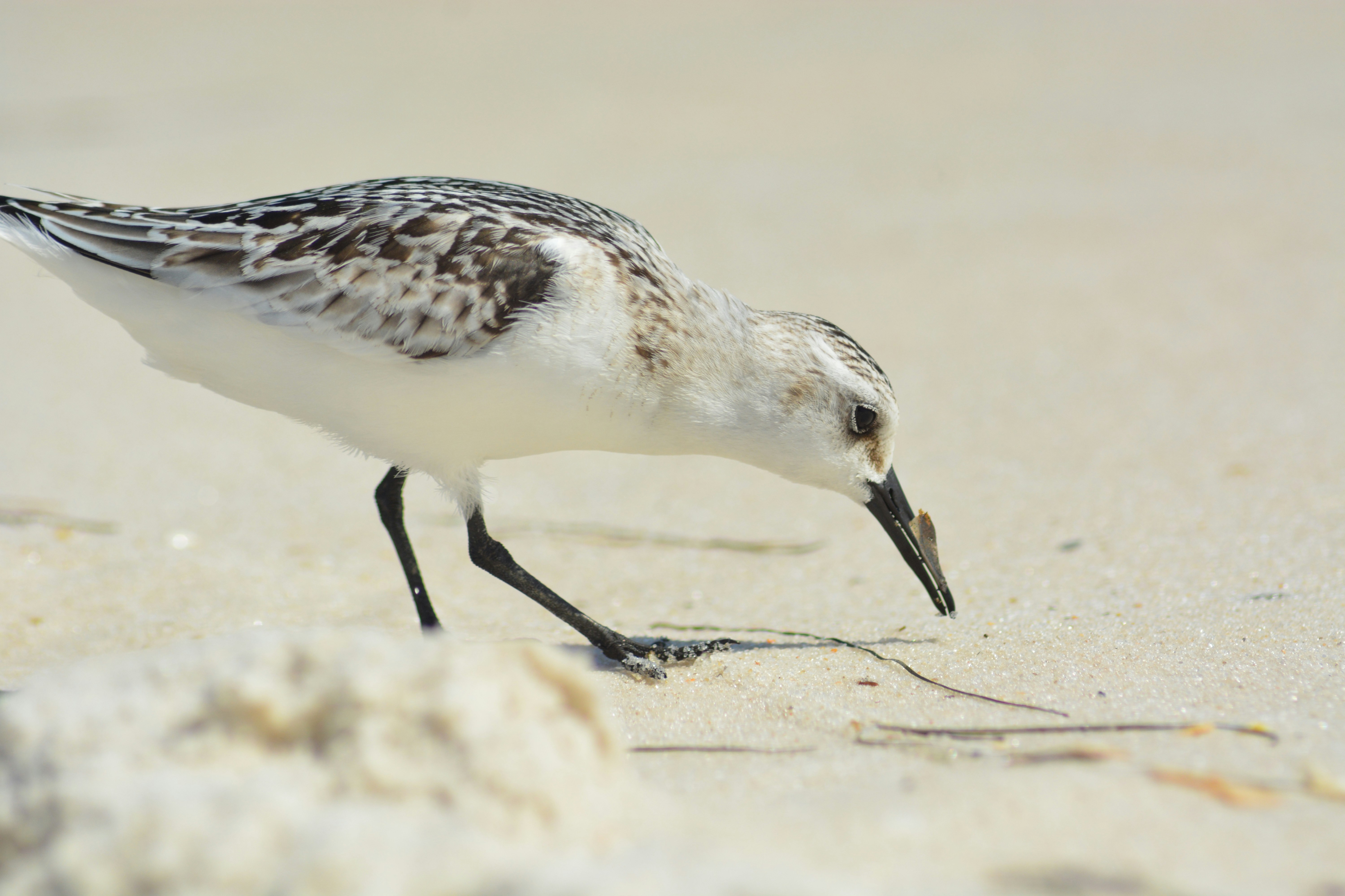 Photo by shutter_up3