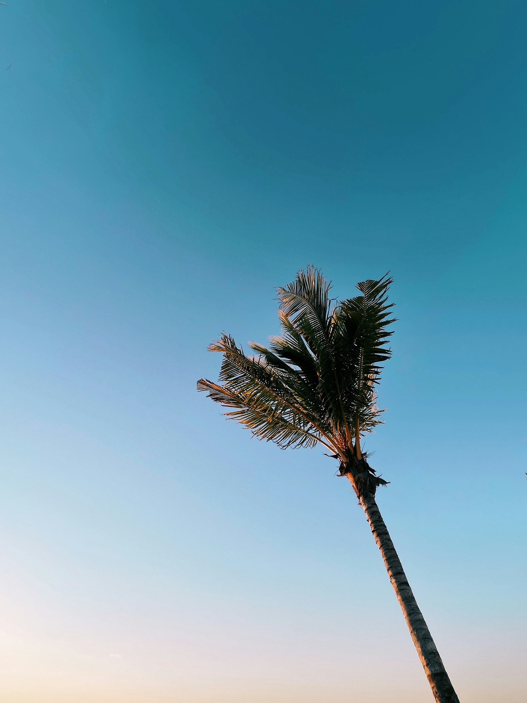 Photo by jontyson