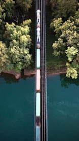 a train traveling over a bridge next to a forest