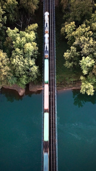 a train traveling over a bridge next to a forest