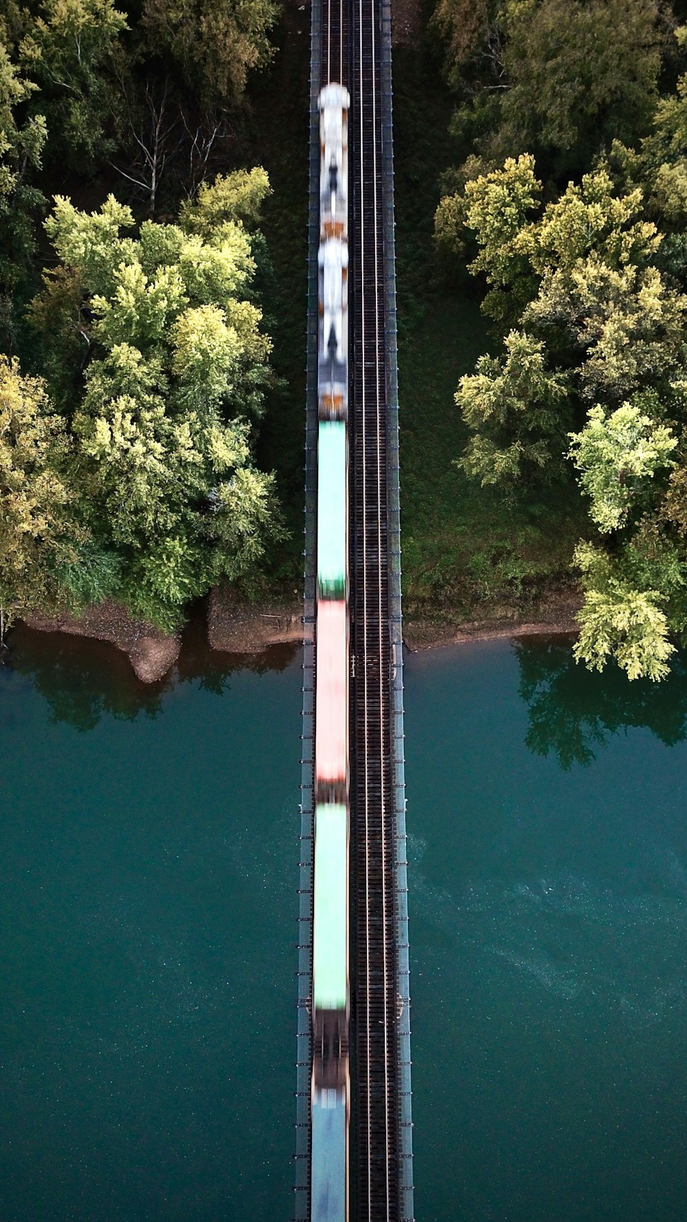 Ein Zug, der über eine Brücke neben einem Wald fährt