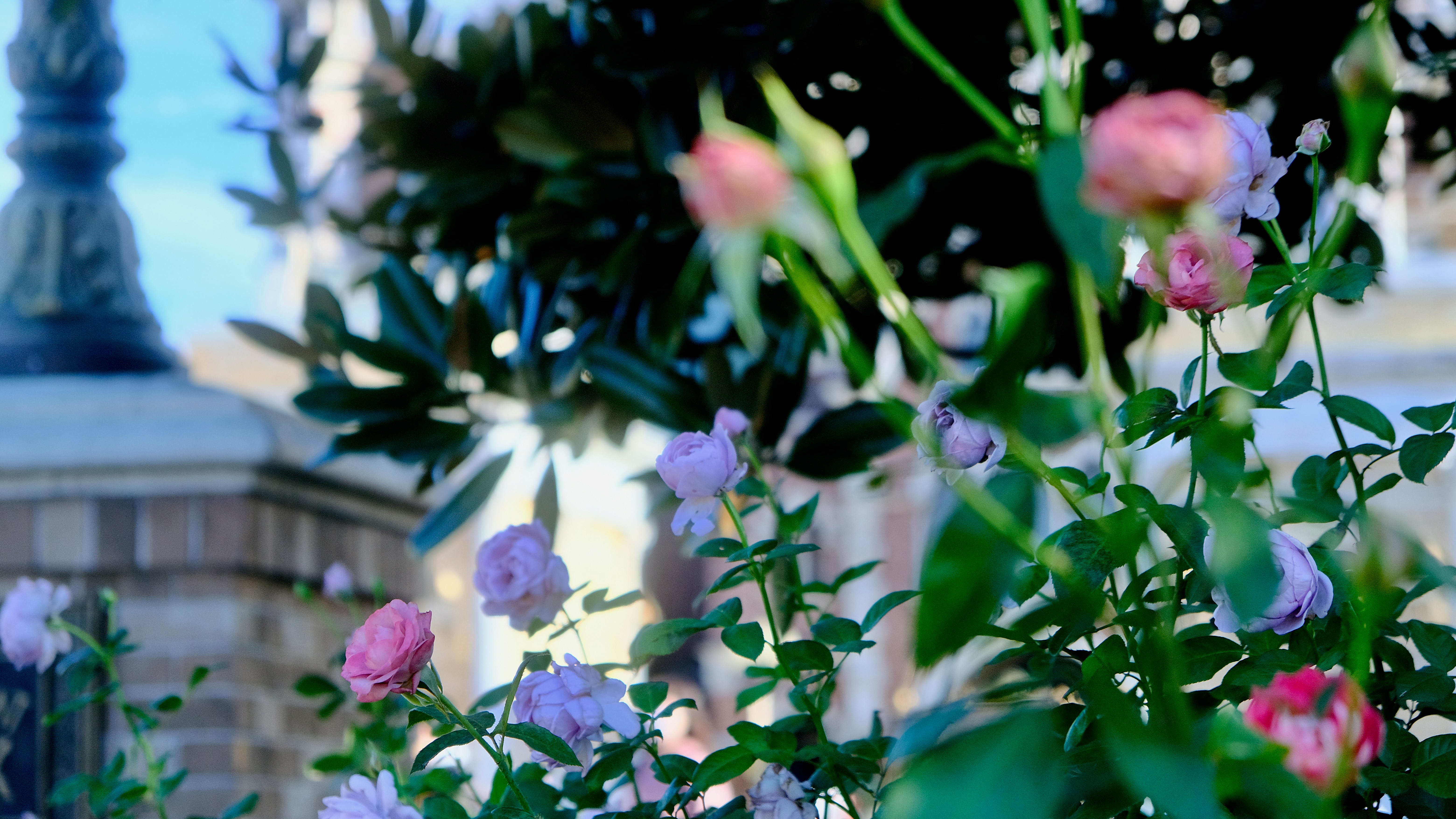 Photo by okuyama_leo