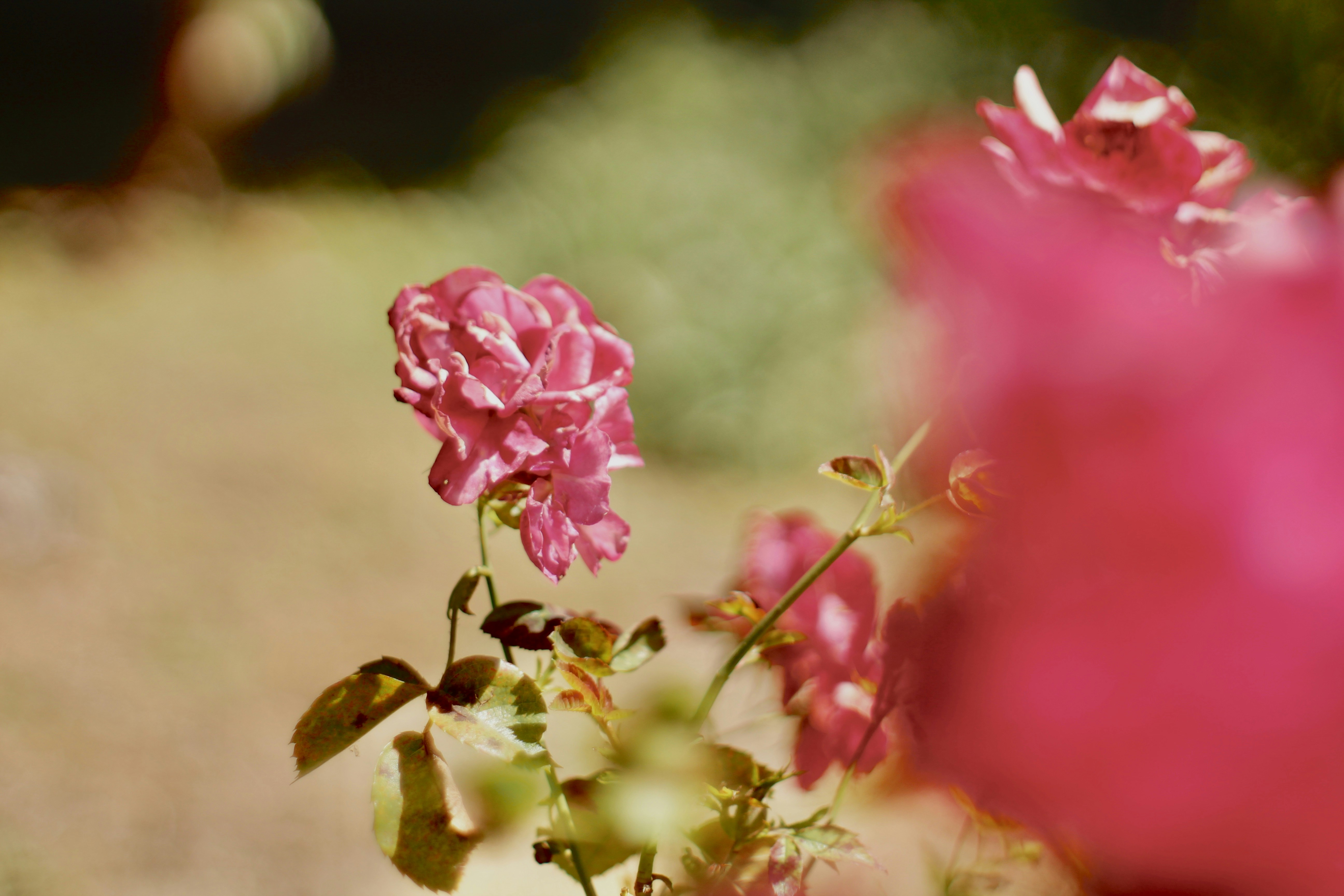 Photo by burntmacbook