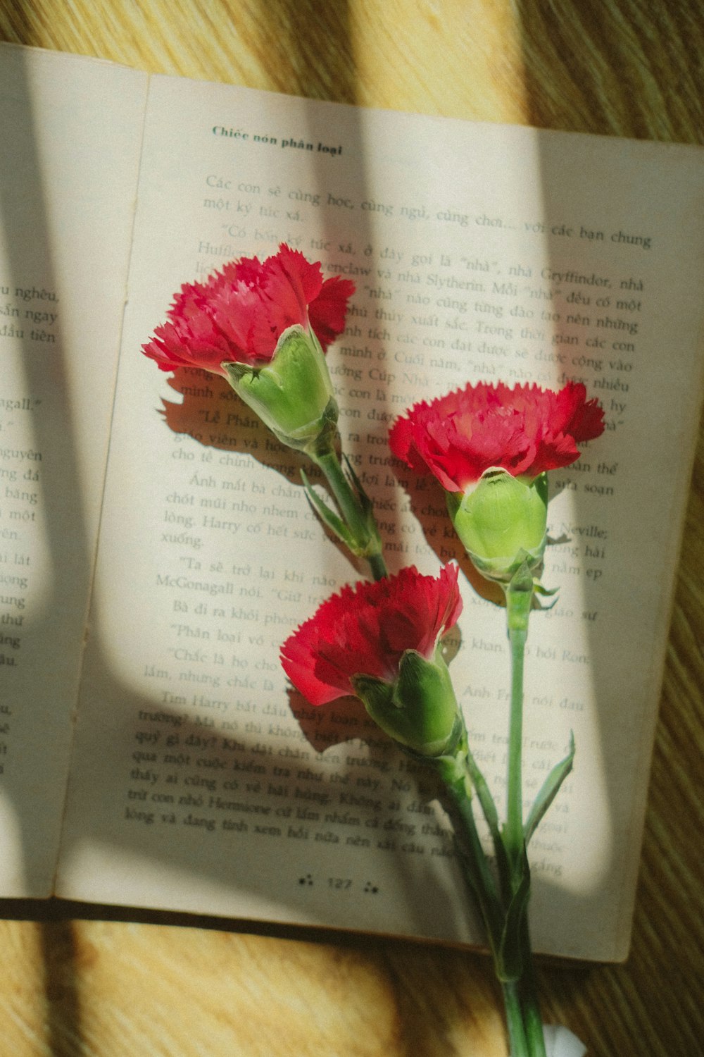 three red carnations sitting on top of an open book