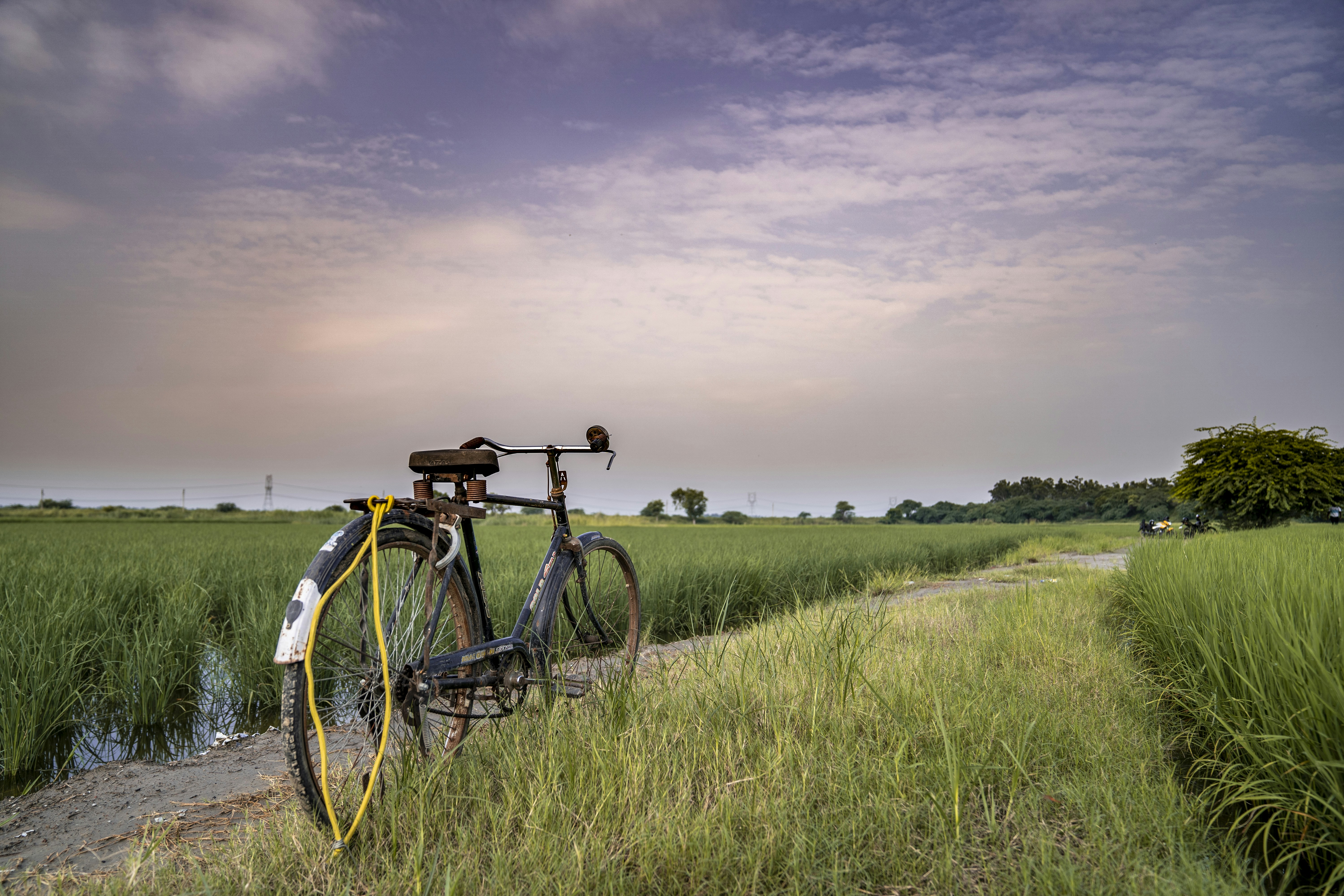 a bike parked on the side of a dirt road