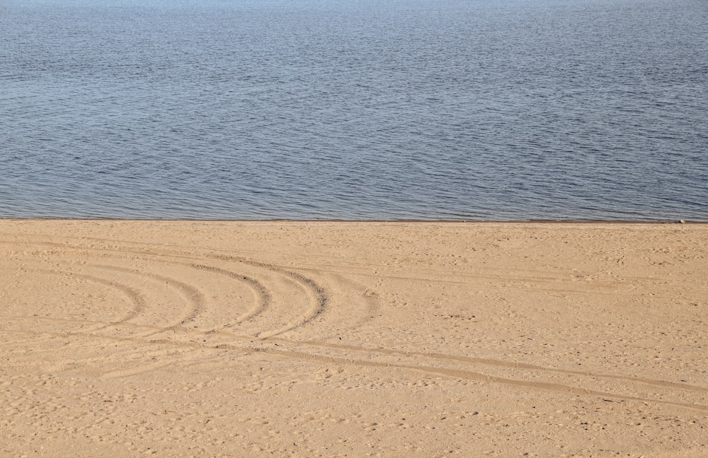 a man riding a horse on a beach next to the ocean