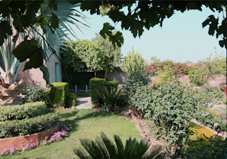 A lush, well-maintained garden with various plants and shrubs, including flowering bushes and small trees. Stone-bordered flower beds and a neatly trimmed lawn are visible. The garden appears to be enclosed by a brick wall with climbing plants. Overhanging branches provide partial shade, creating a peaceful atmosphere.