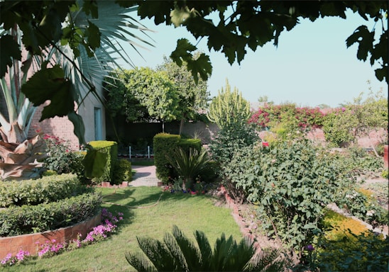 A lush, well-maintained garden with various plants and shrubs, including flowering bushes and small trees. Stone-bordered flower beds and a neatly trimmed lawn are visible. The garden appears to be enclosed by a brick wall with climbing plants. Overhanging branches provide partial shade, creating a peaceful atmosphere.