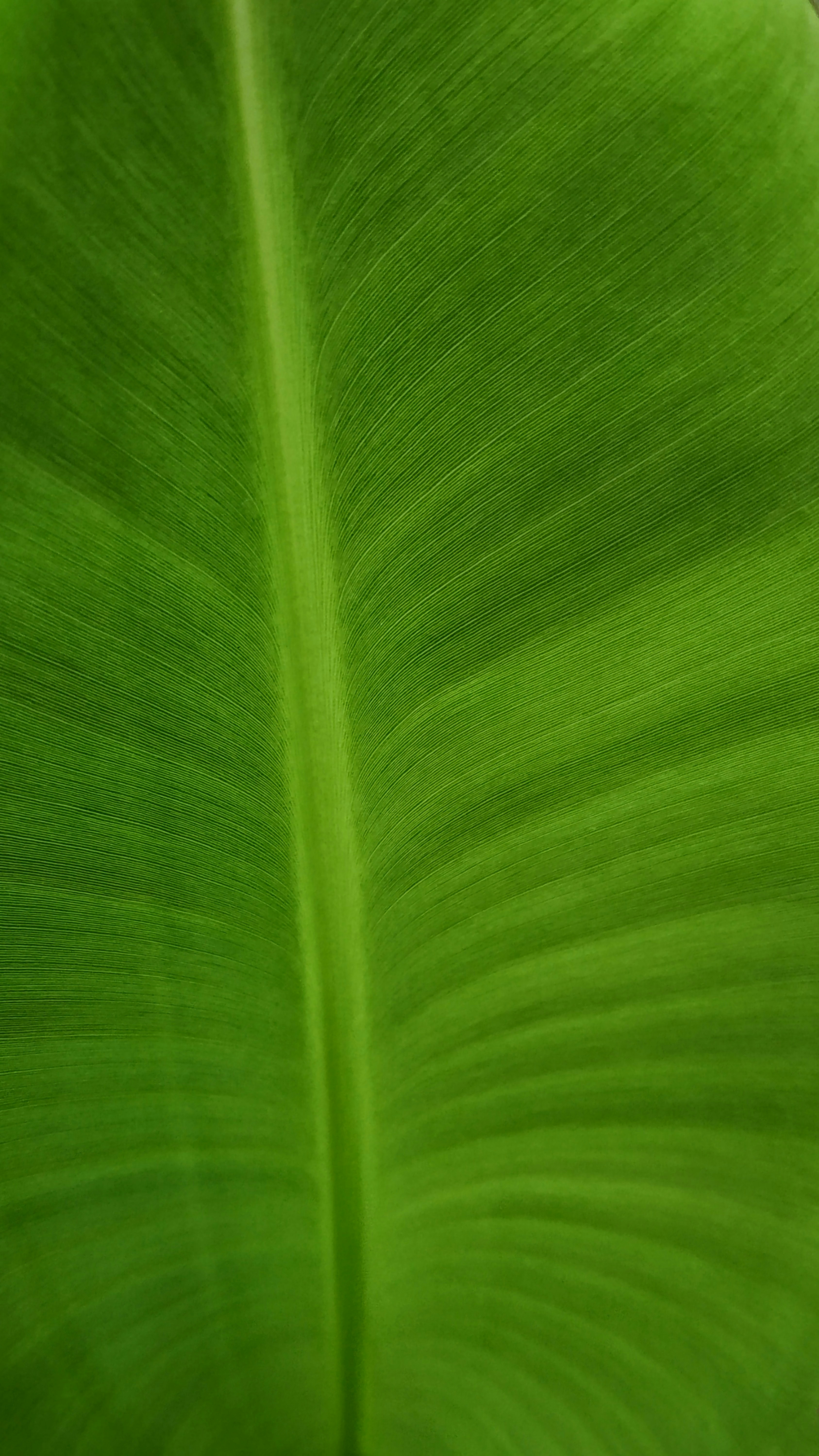 Photo by atomsmasher