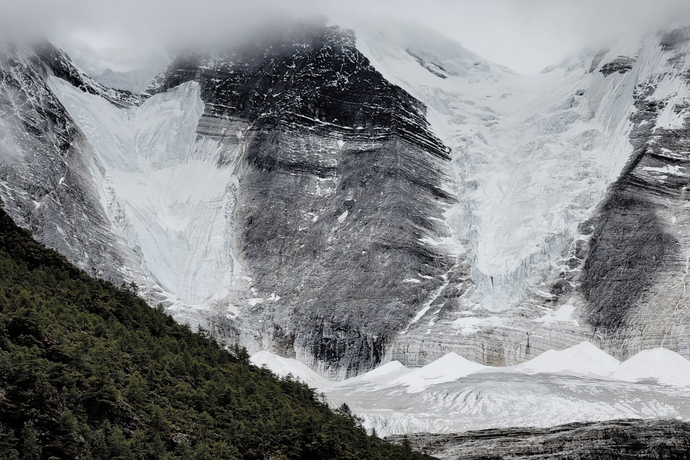 a snow covered mountain side with a forest below