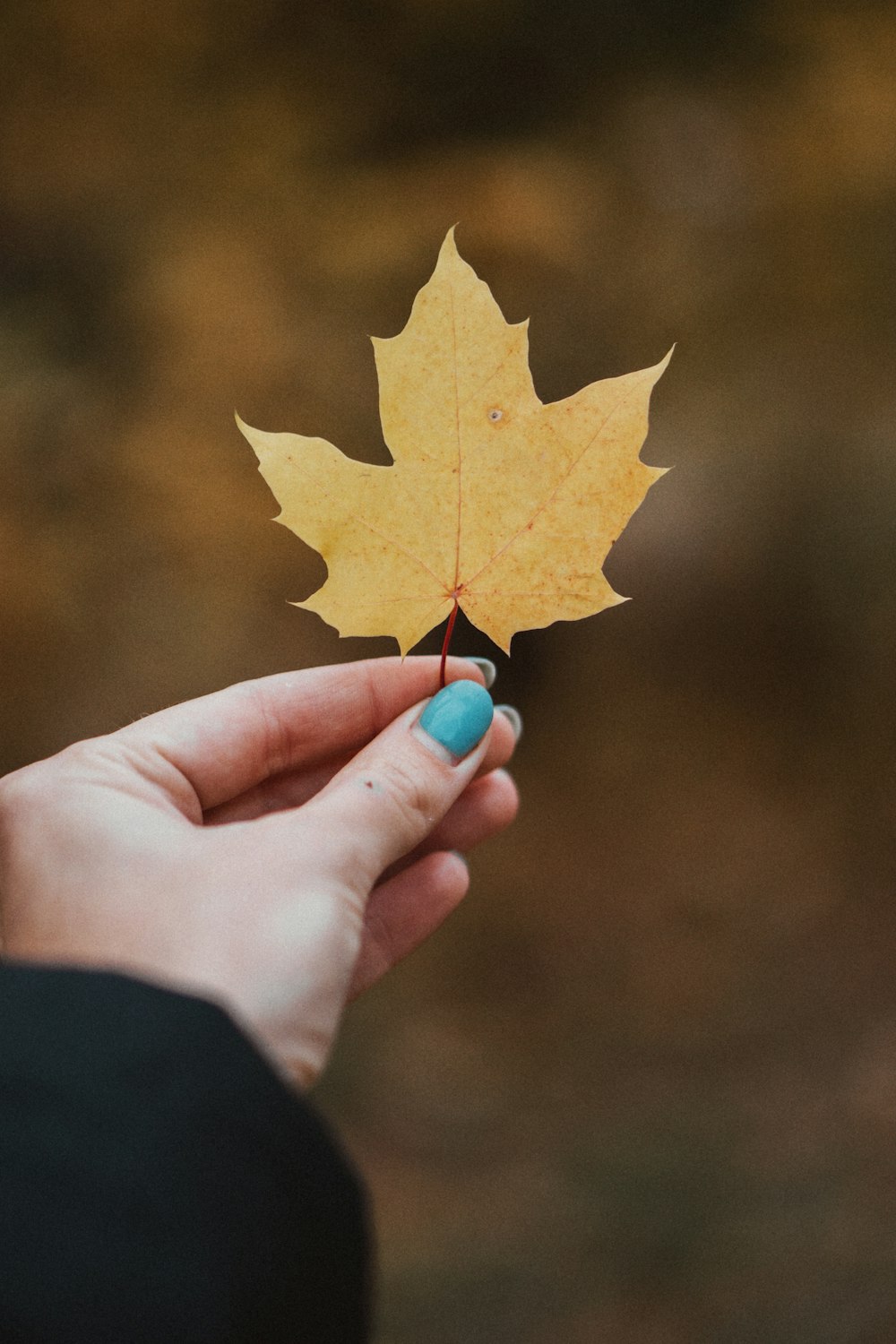 a hand holding a piece of paper