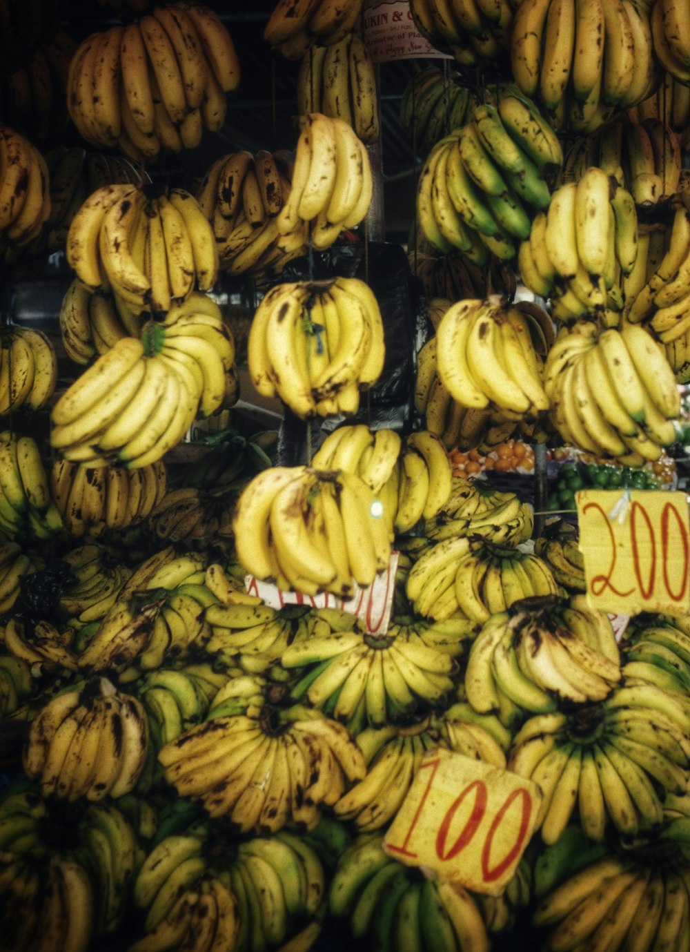 bunches of bananas for sale at a market