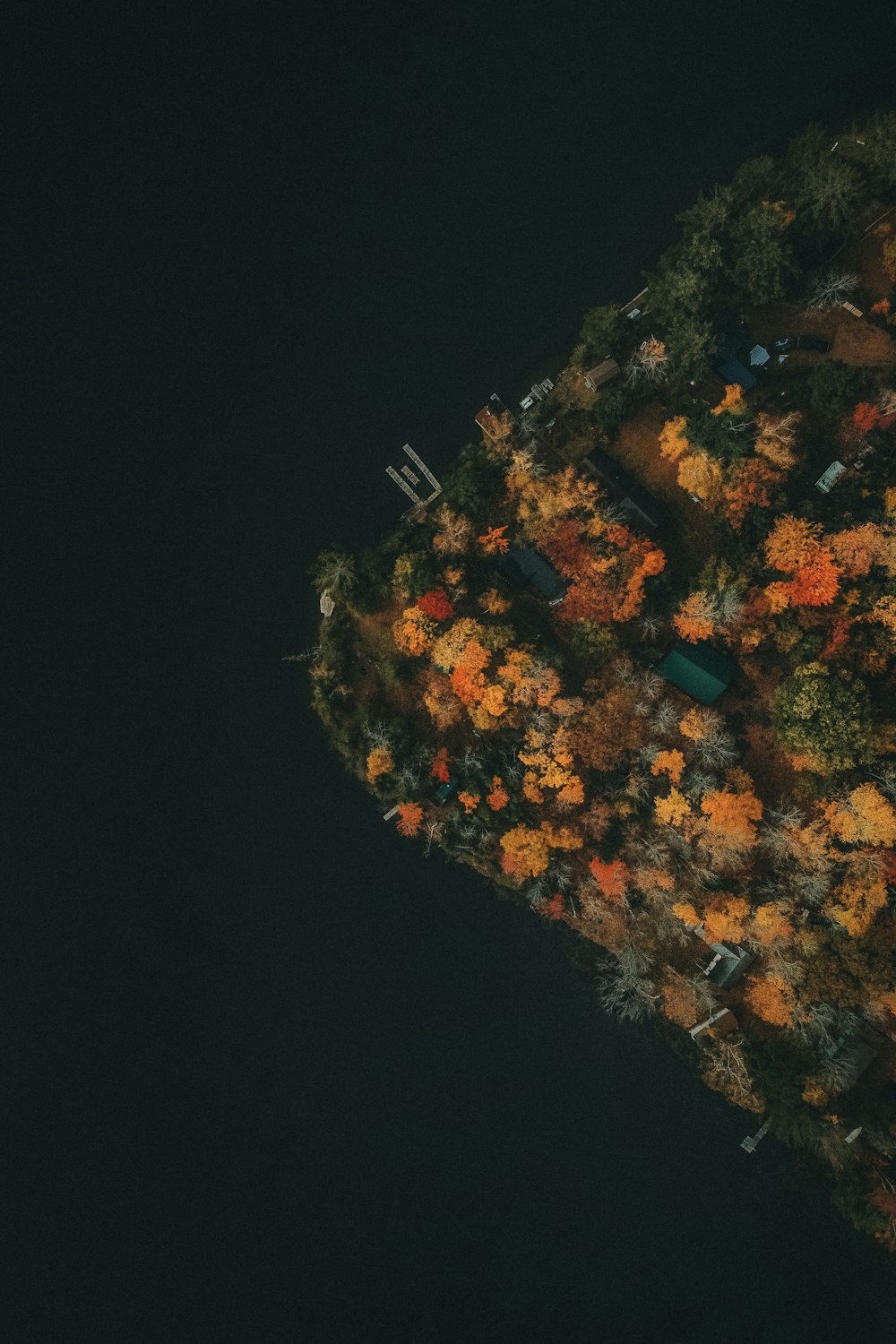 an aerial view of a tree covered island at night