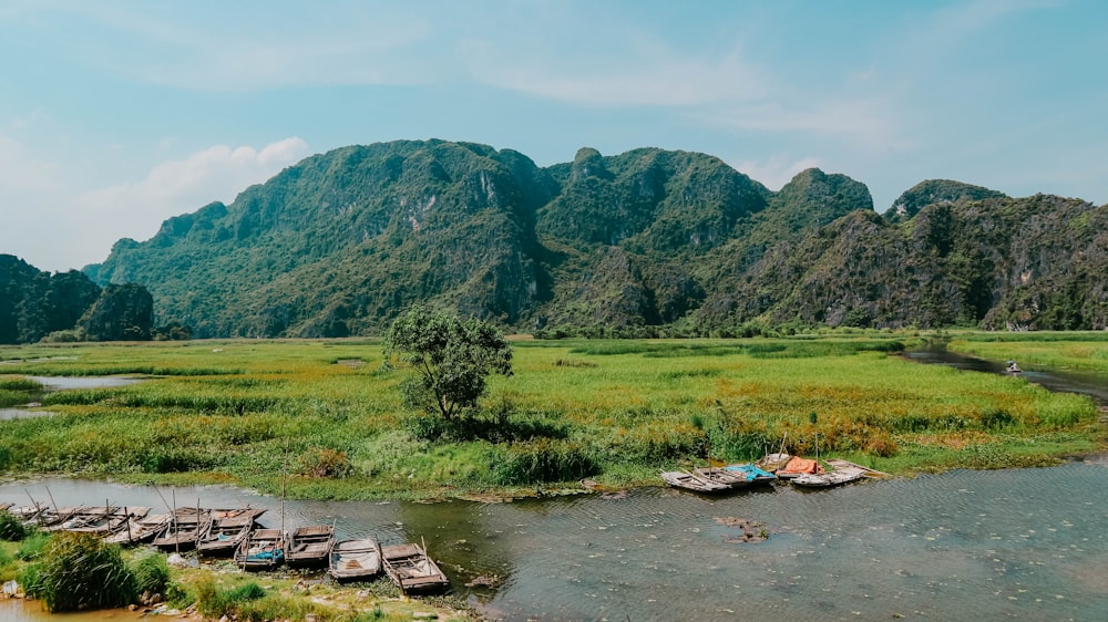 a group of boats sitting on top of a river