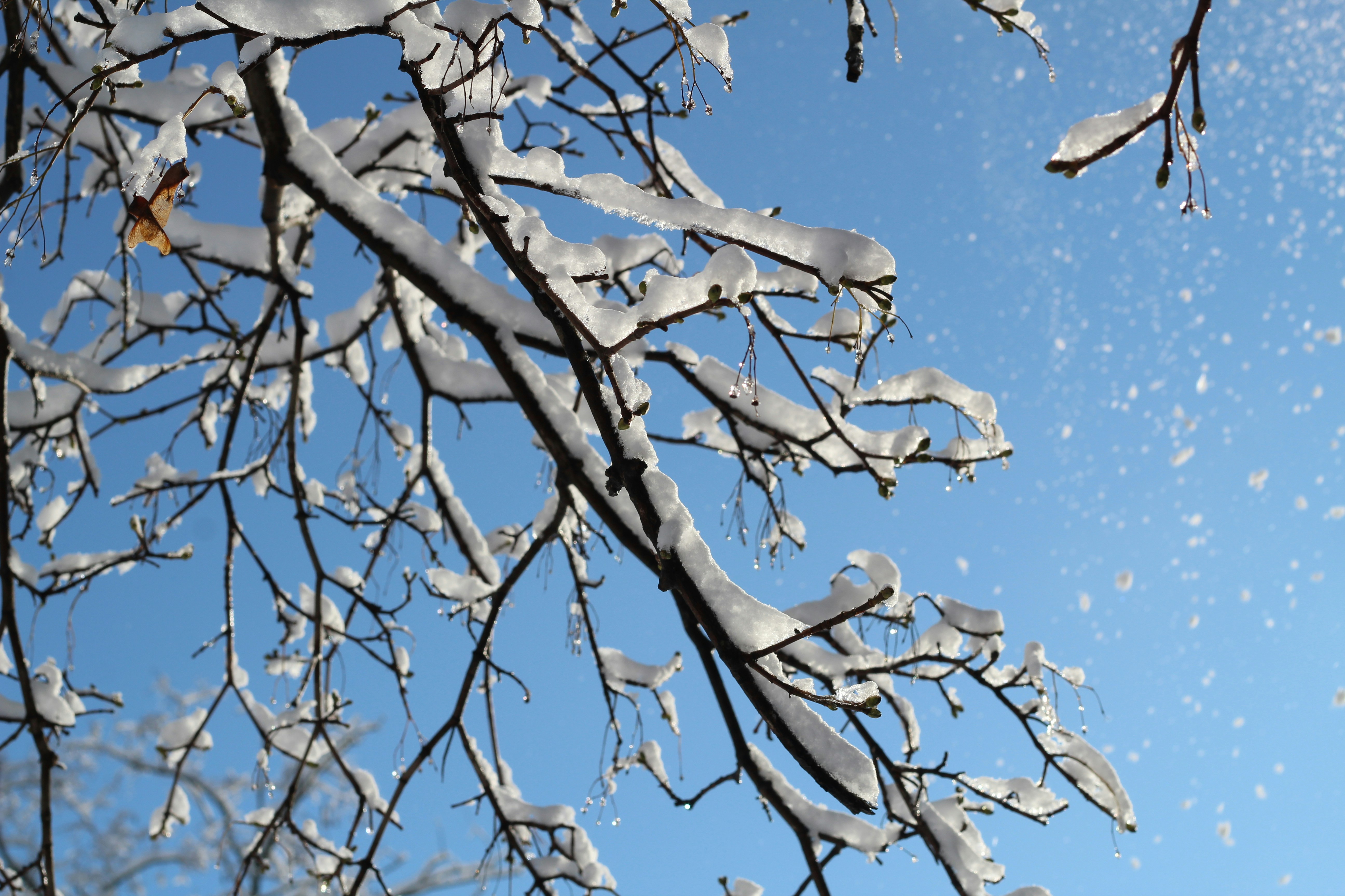 Photo by marina_yalanska