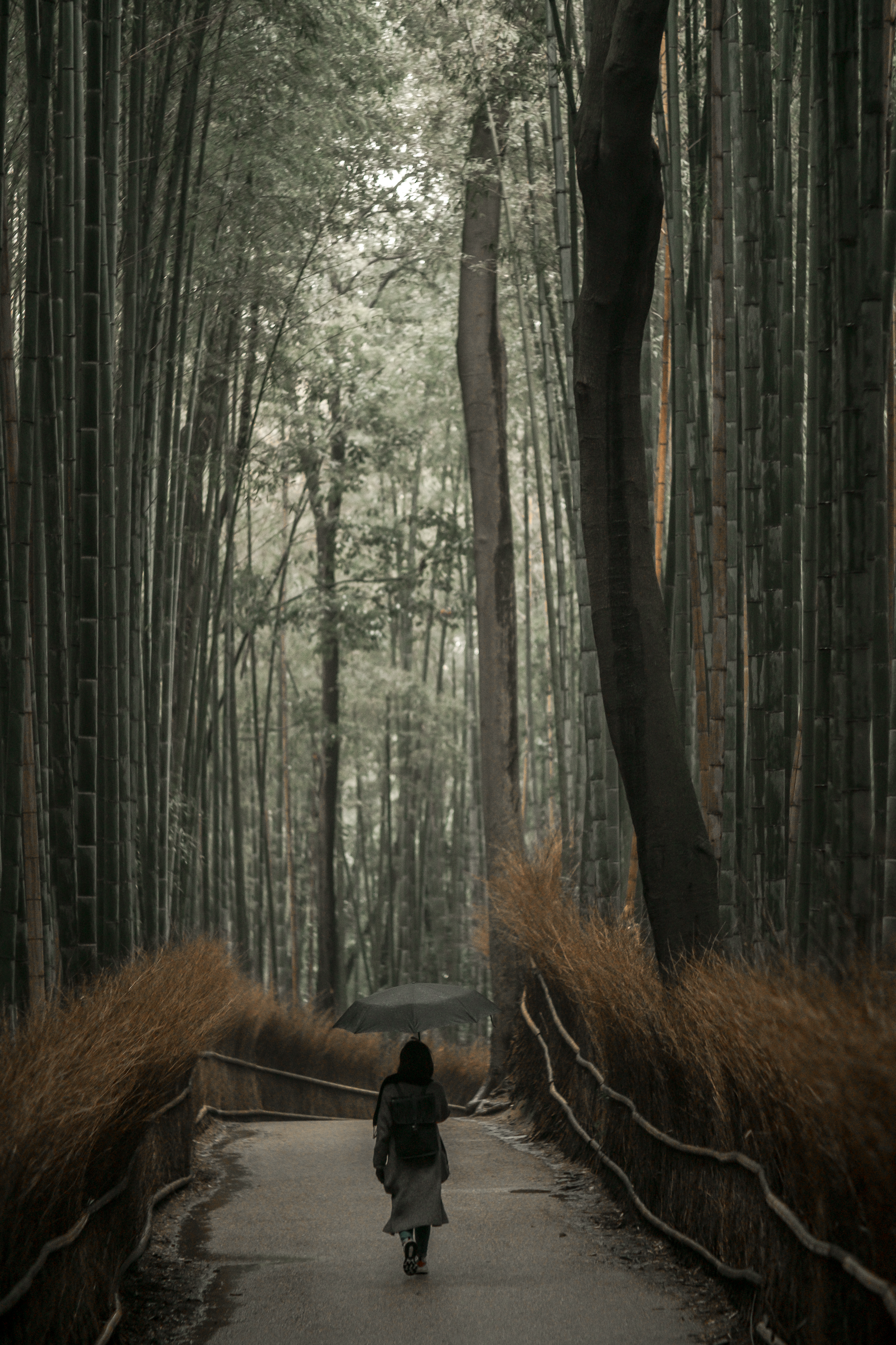 Photo by thecranberryjuice