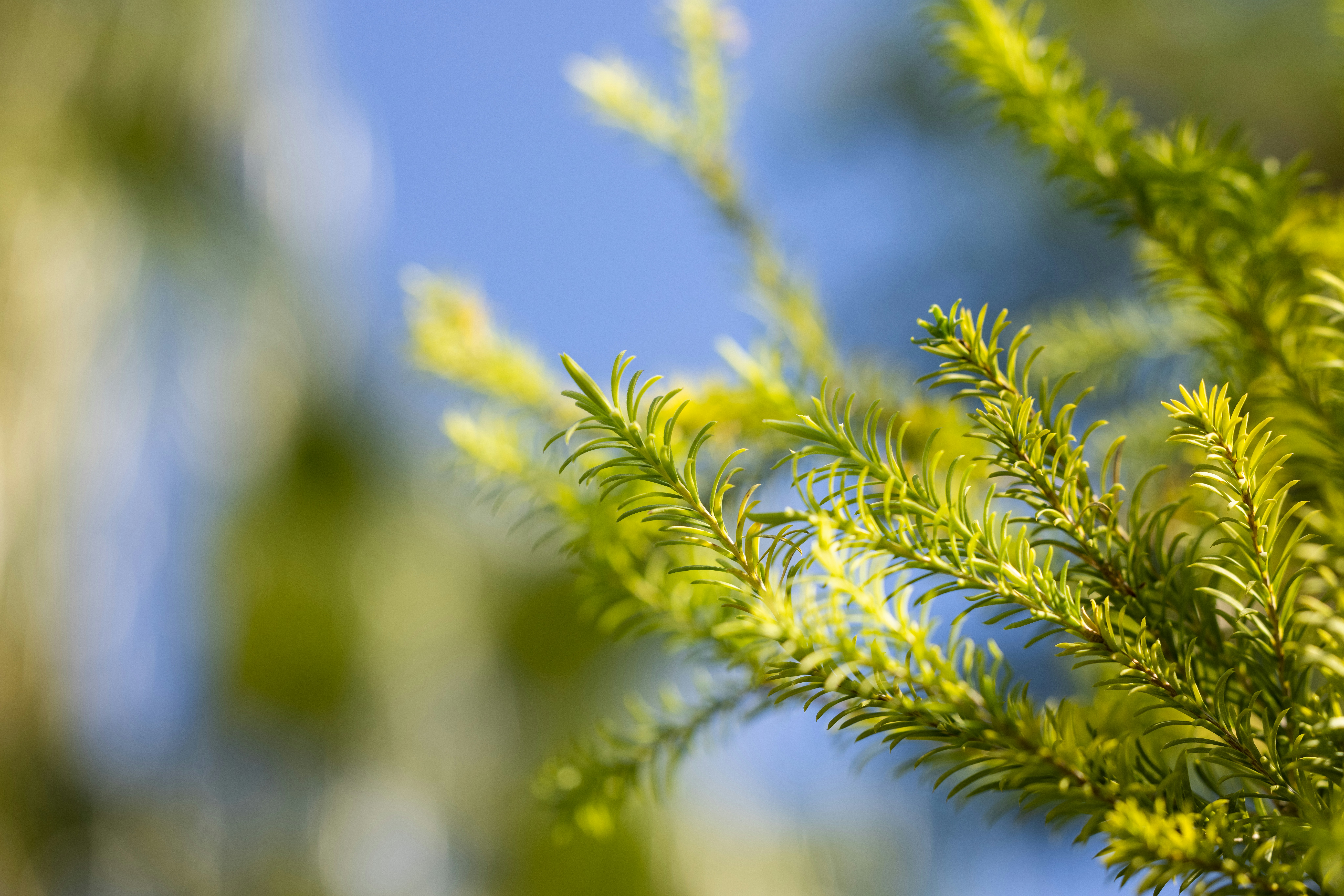 Photo by enginakyurt