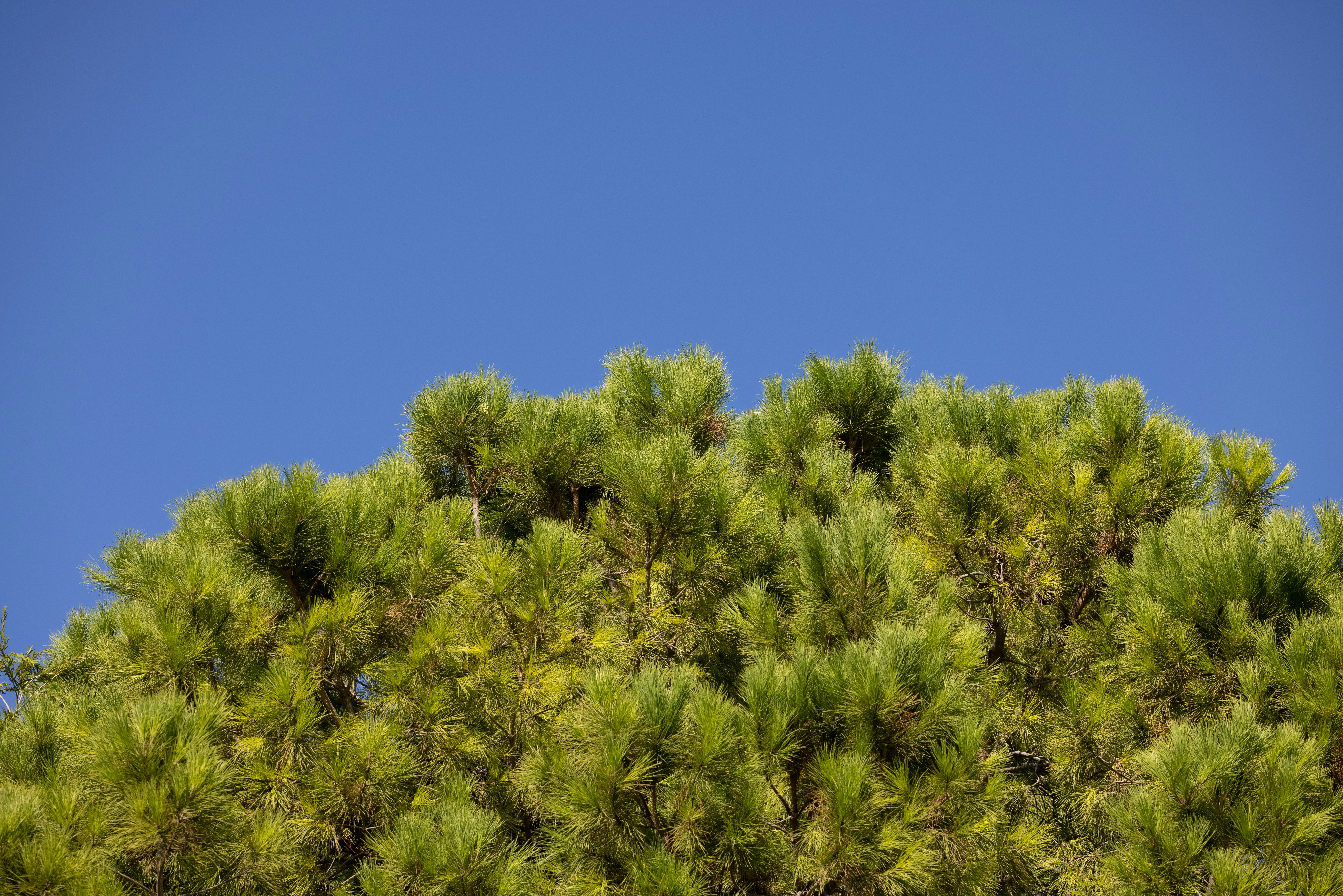 Photo by enginakyurt