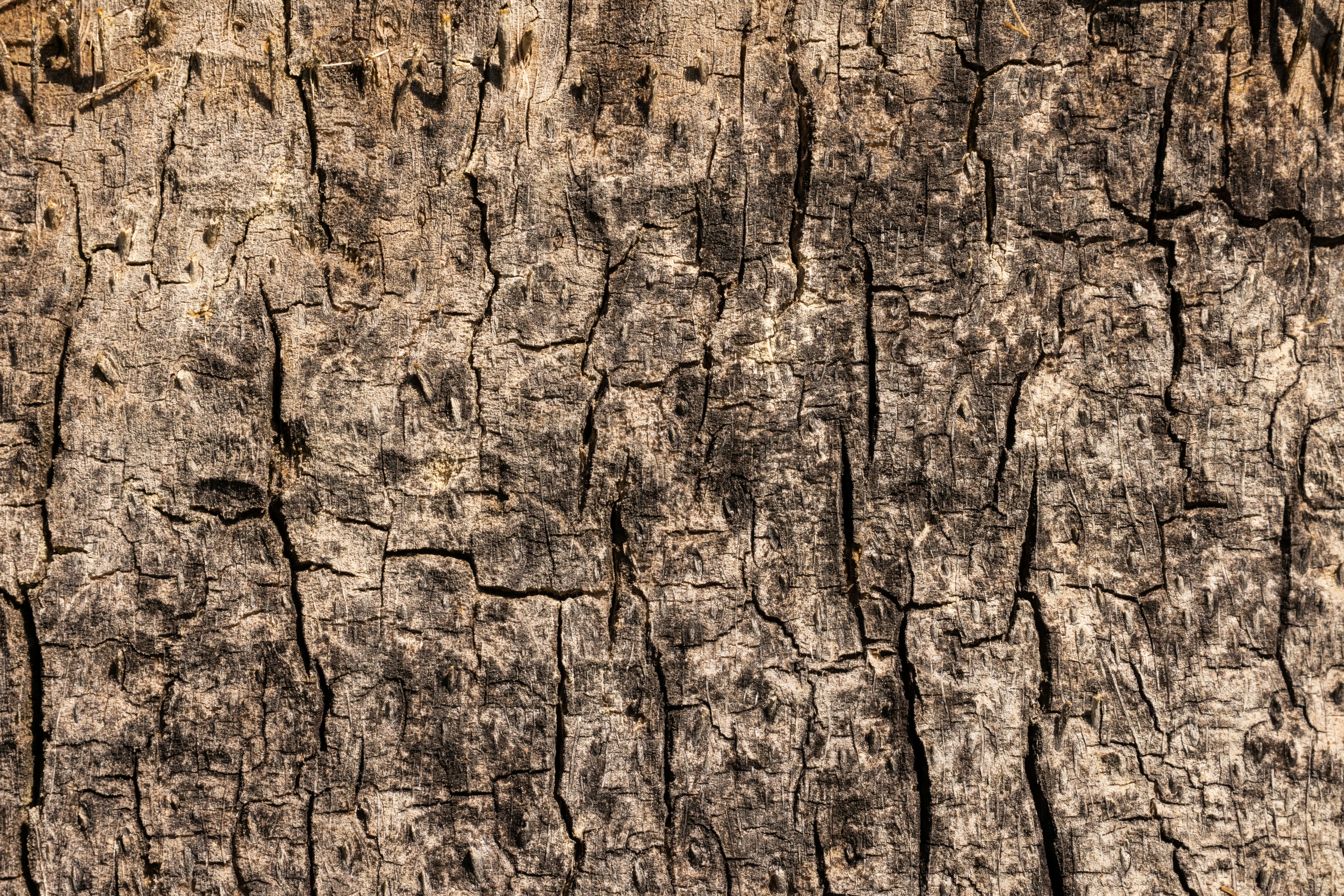 Photo by enginakyurt