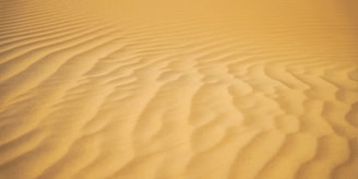 a sandy area with a few lines in the sand