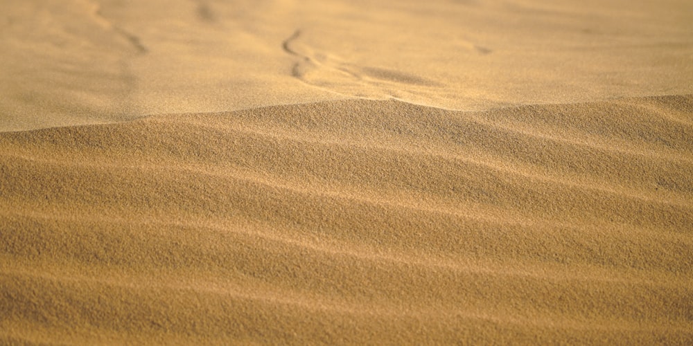 a sandy area with a few footprints in the sand