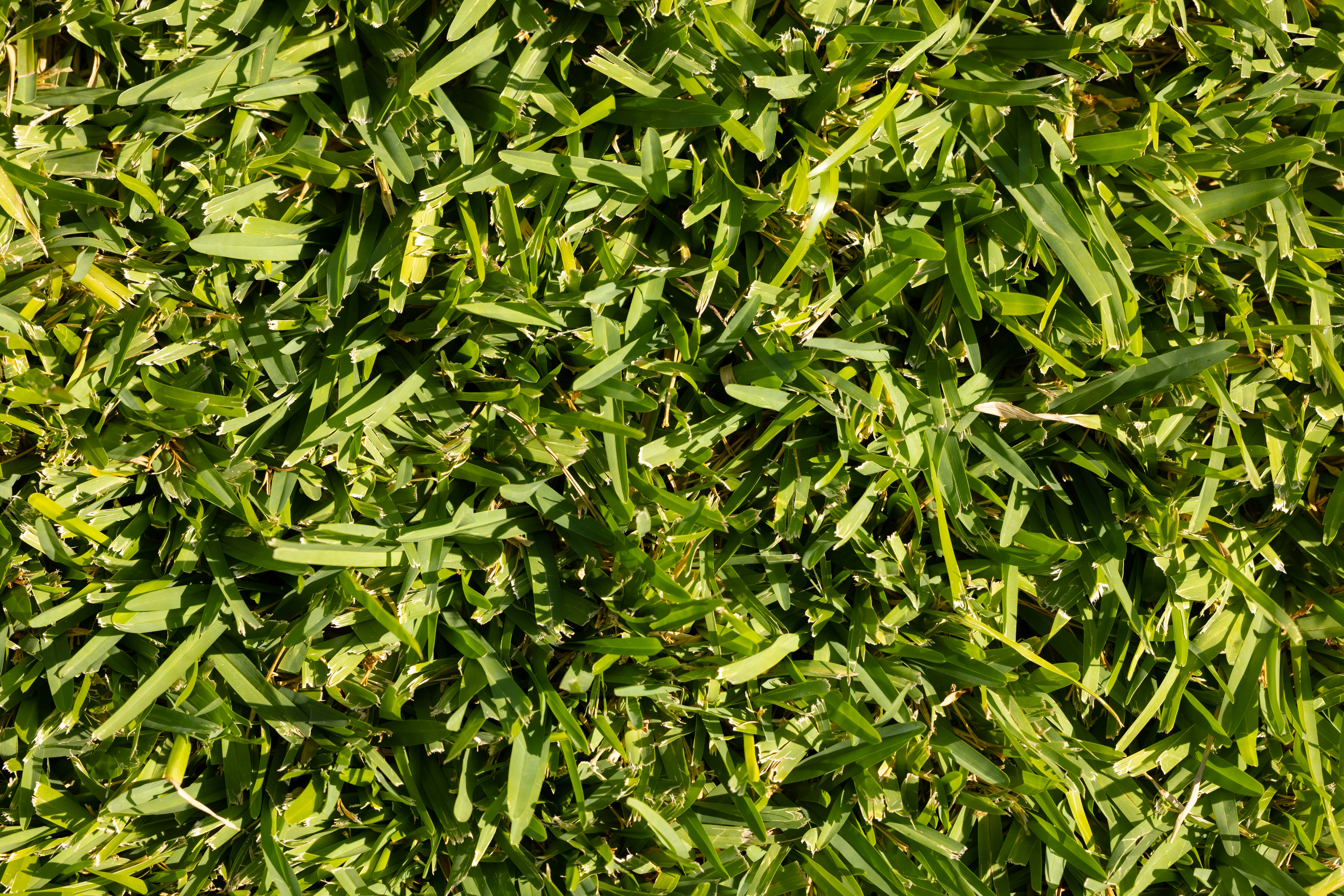 Photo by enginakyurt