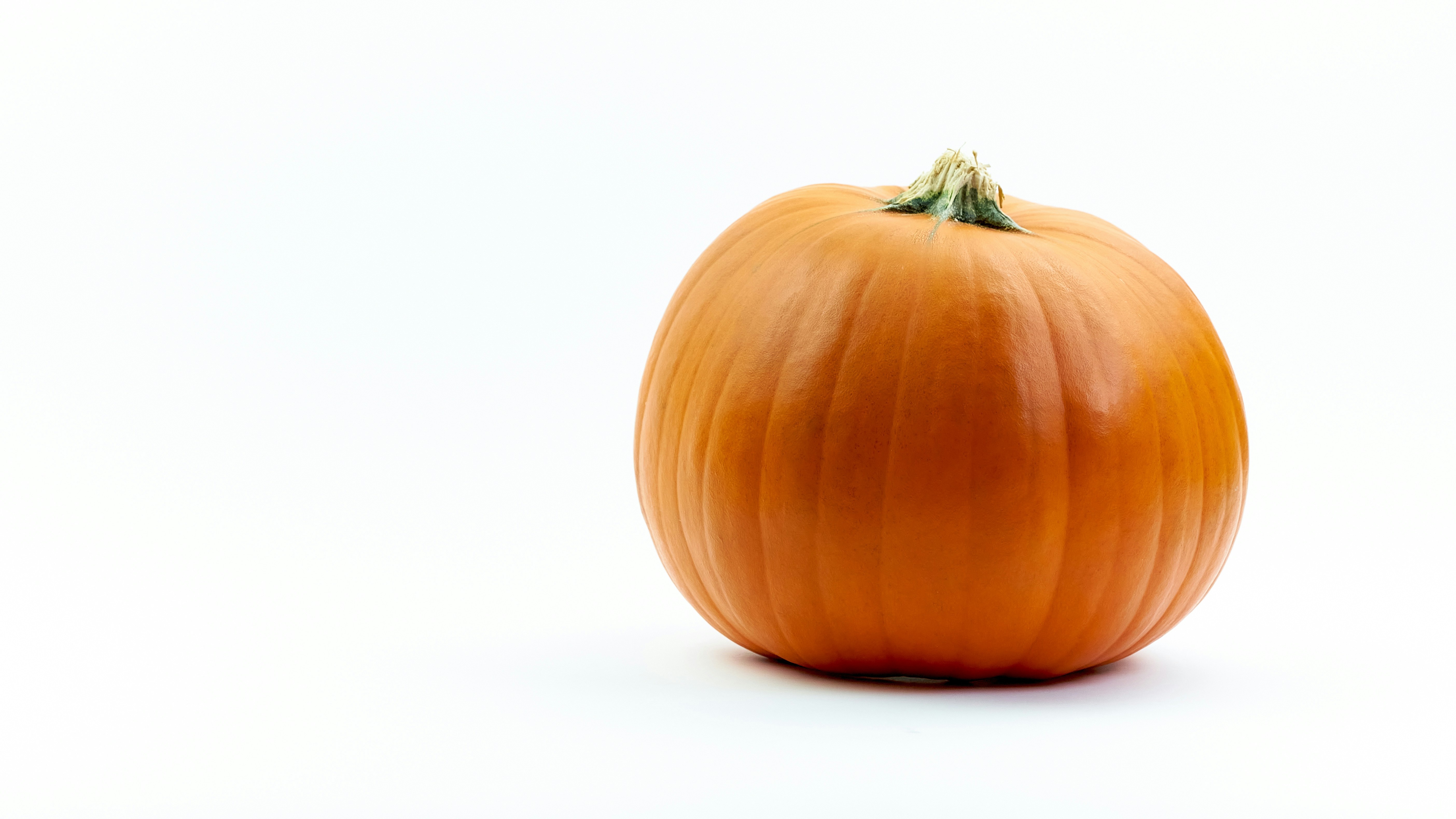A large orange pumpkin on a white background photo – Free Brown ...