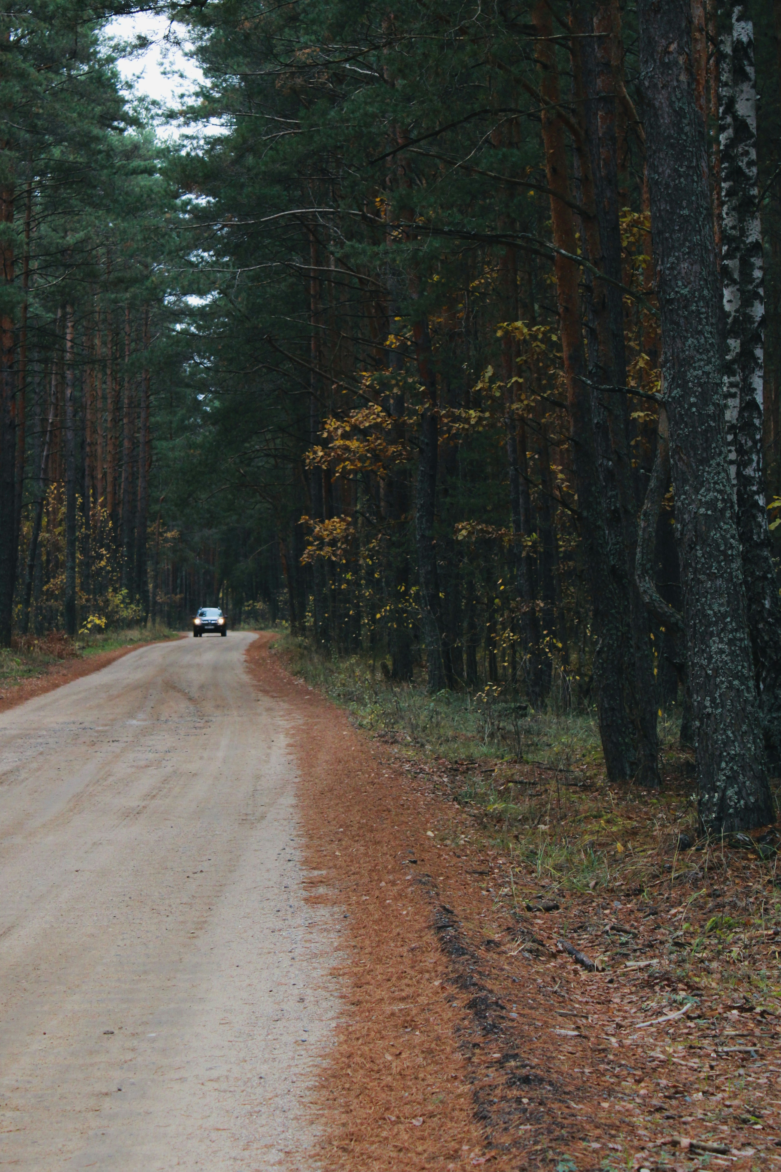 Photo by soulhall_photo