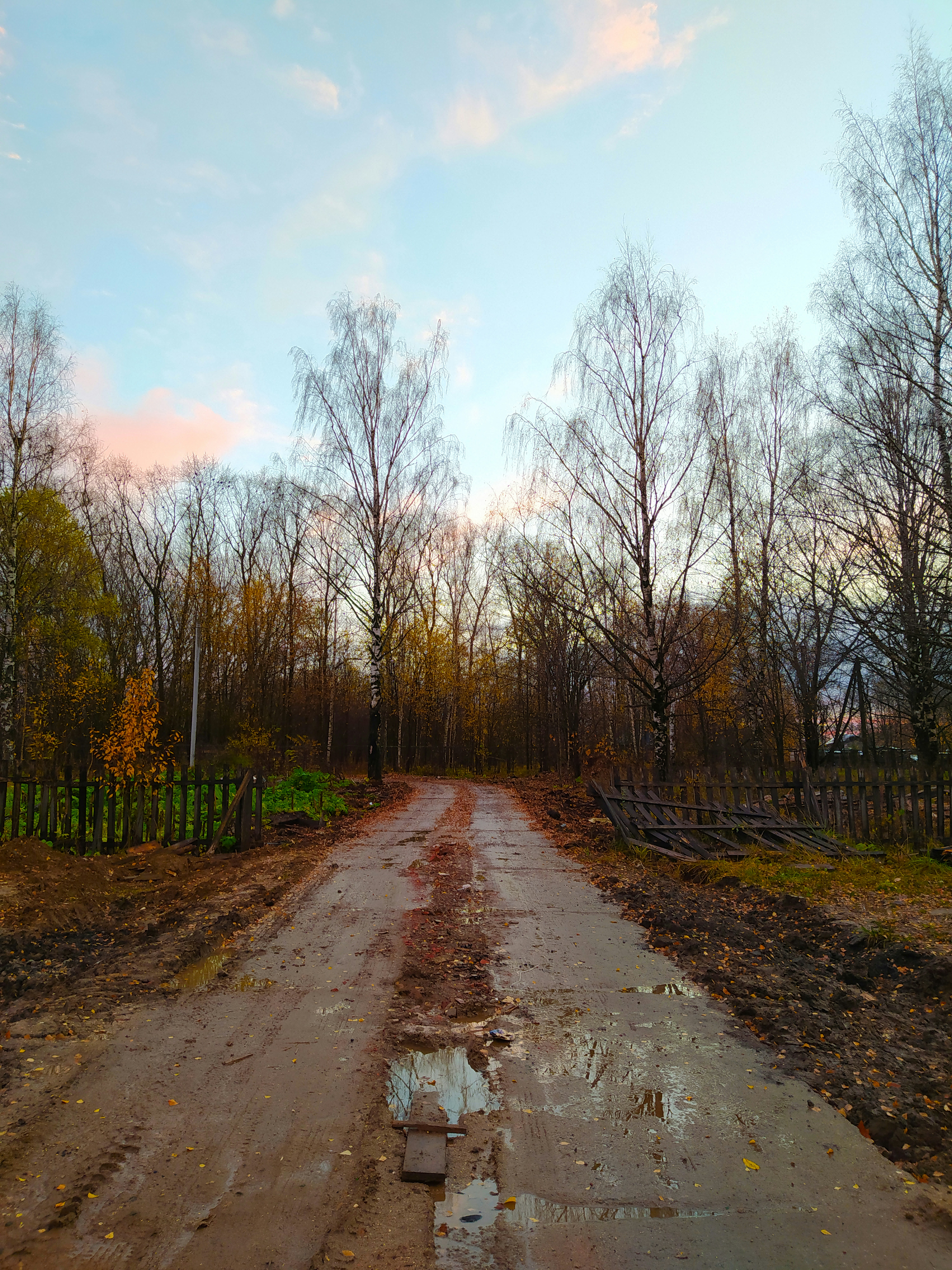 a dirt road surrounded by trees and a fence