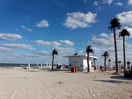 A beach setting with tall palm trees lining the sandy shore under a partly cloudy sky. There is a small white building with some writing on it near the center, and several closed umbrellas scattered on the beach. The ocean is in the background, creating a serene and open environment.