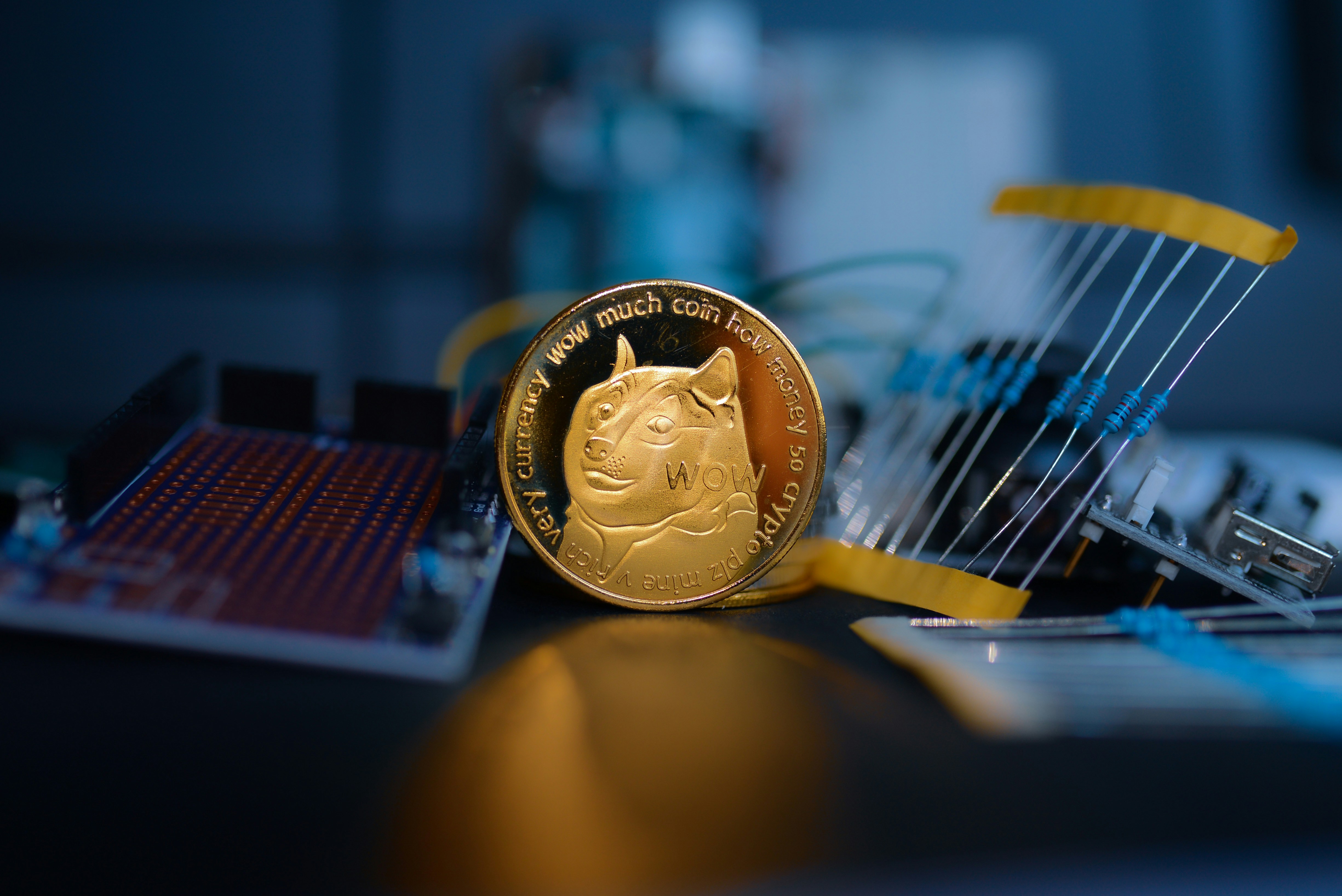 Choose from a curated selection of money photos. Always free on Unsplash.