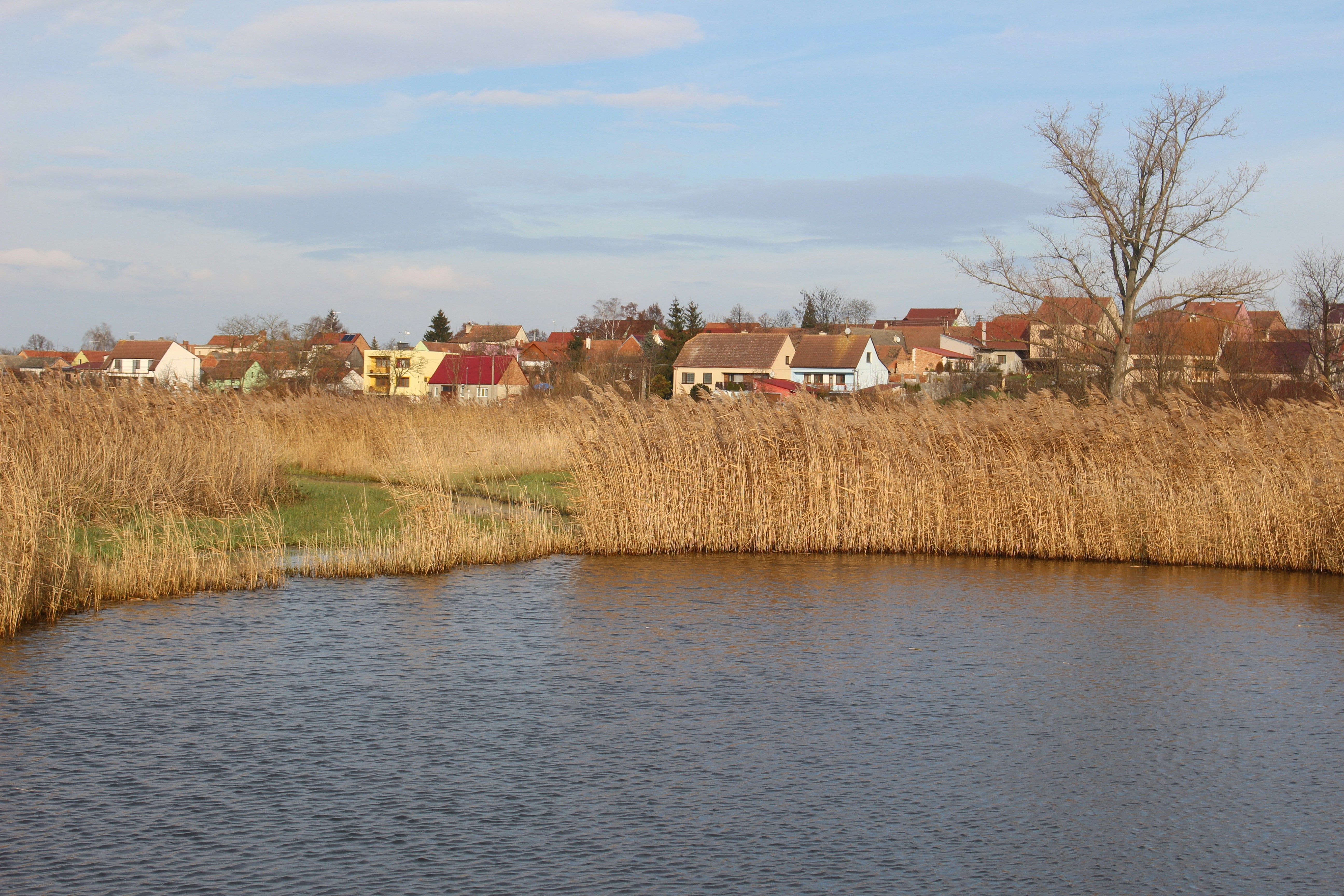 Photo by marjorylucabaxter