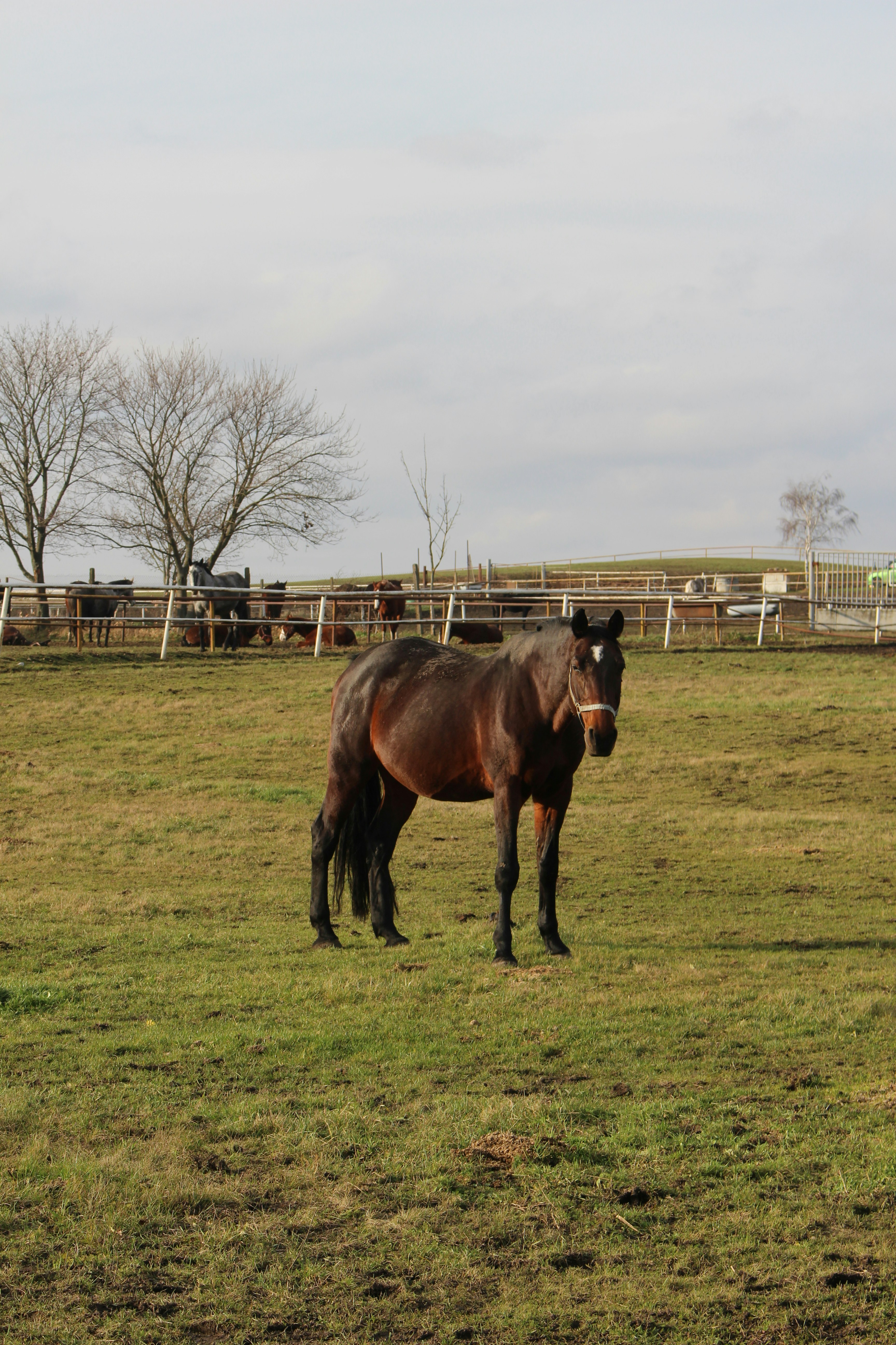 Photo by marjorylucabaxter