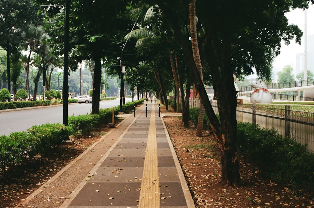 a tree lined sidewalk next to a street