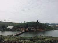 Best Boutique Hotels in Vagamon for Style, Character, and No Chain-Hotel Vibes