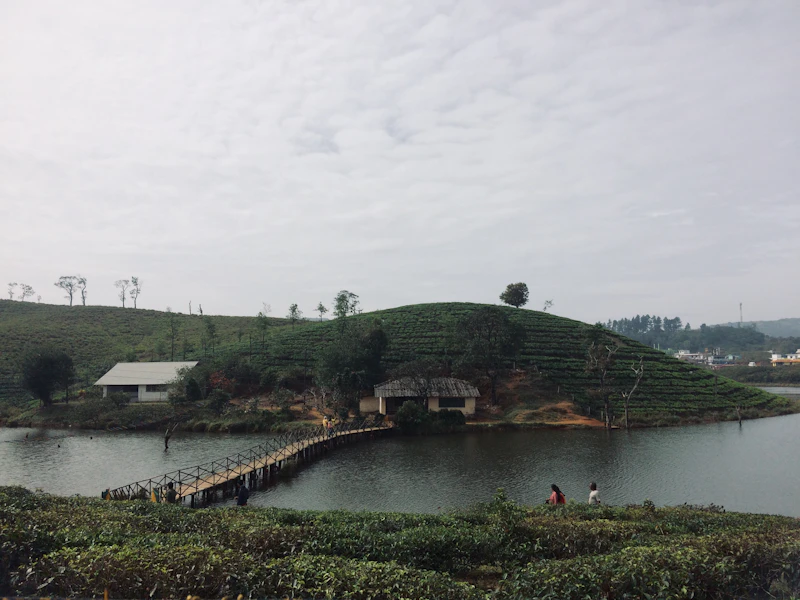 Best Boutique Hotels in Vagamon for Style, Character, and No Chain-Hotel Vibes